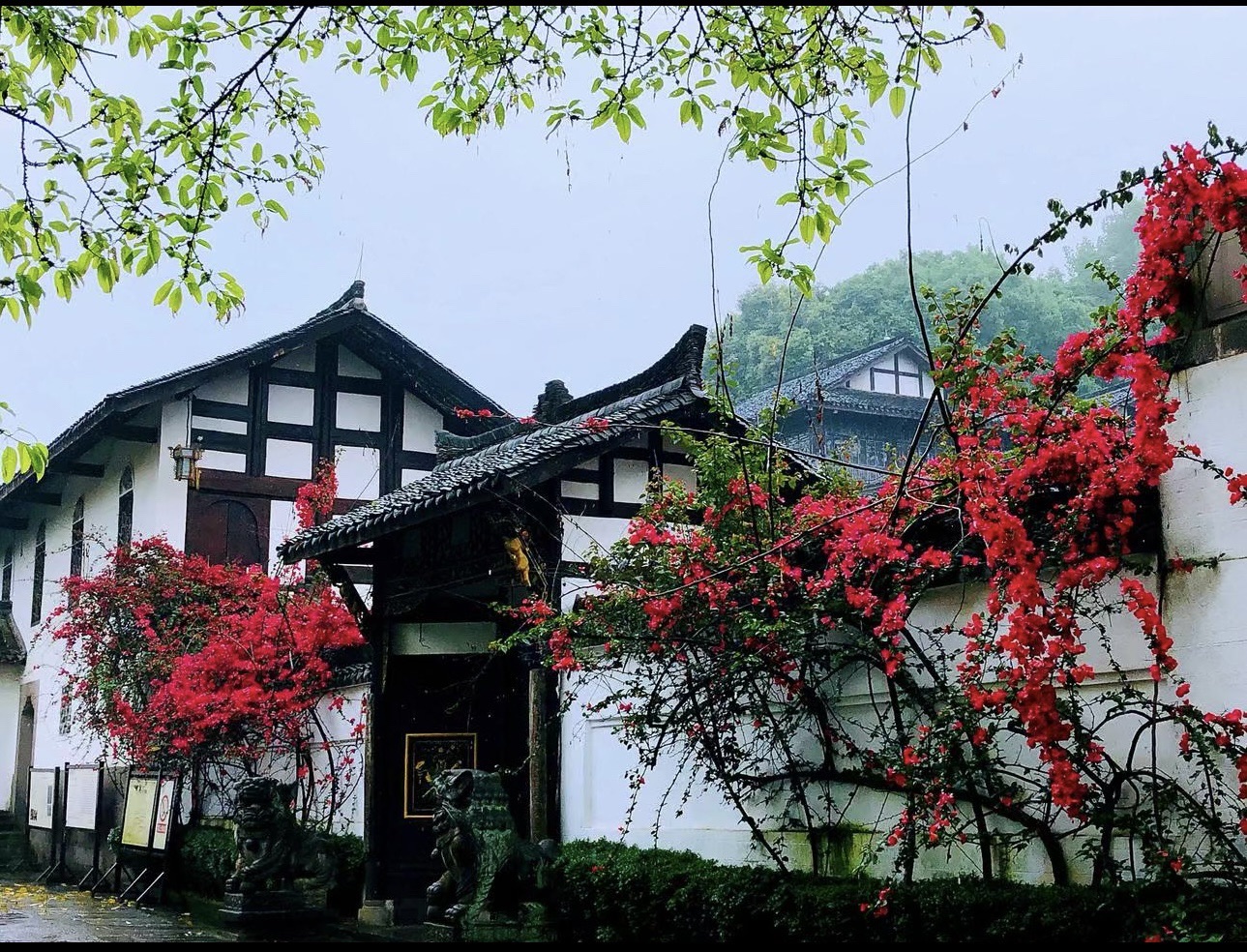 夕佳山民居旅行图片 2