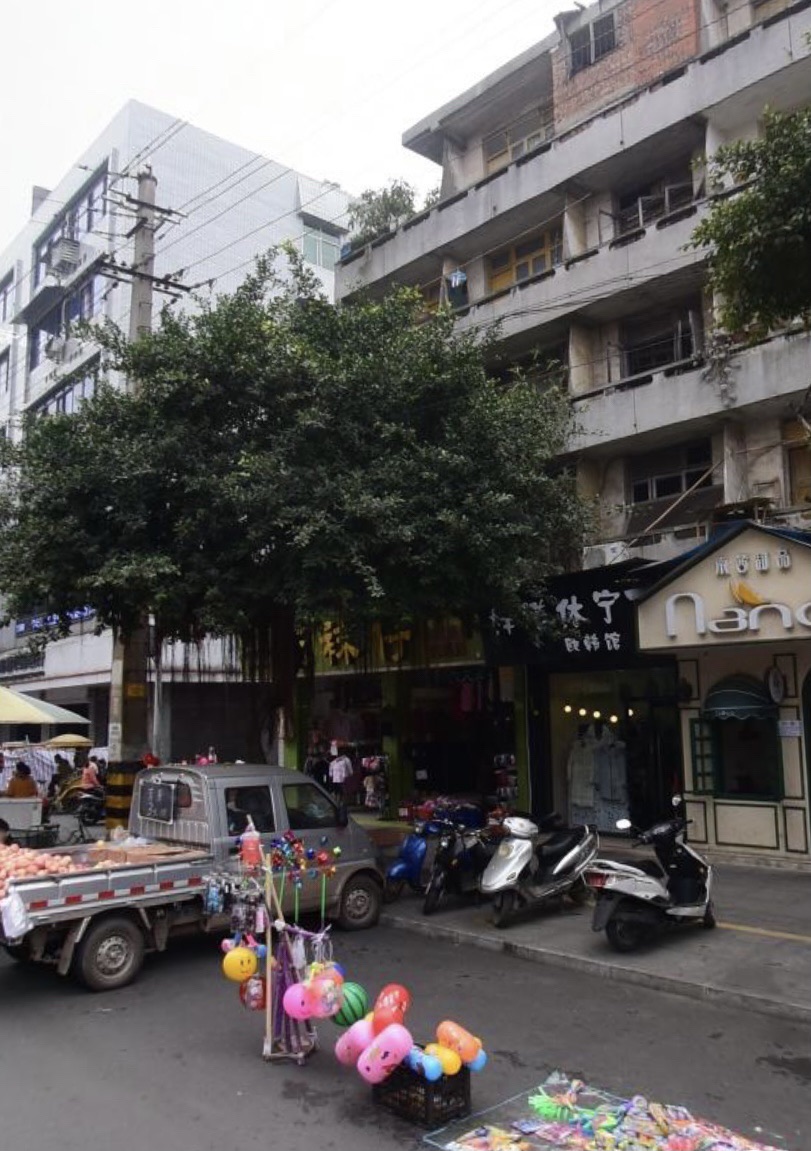 文化广场旅行图片 1