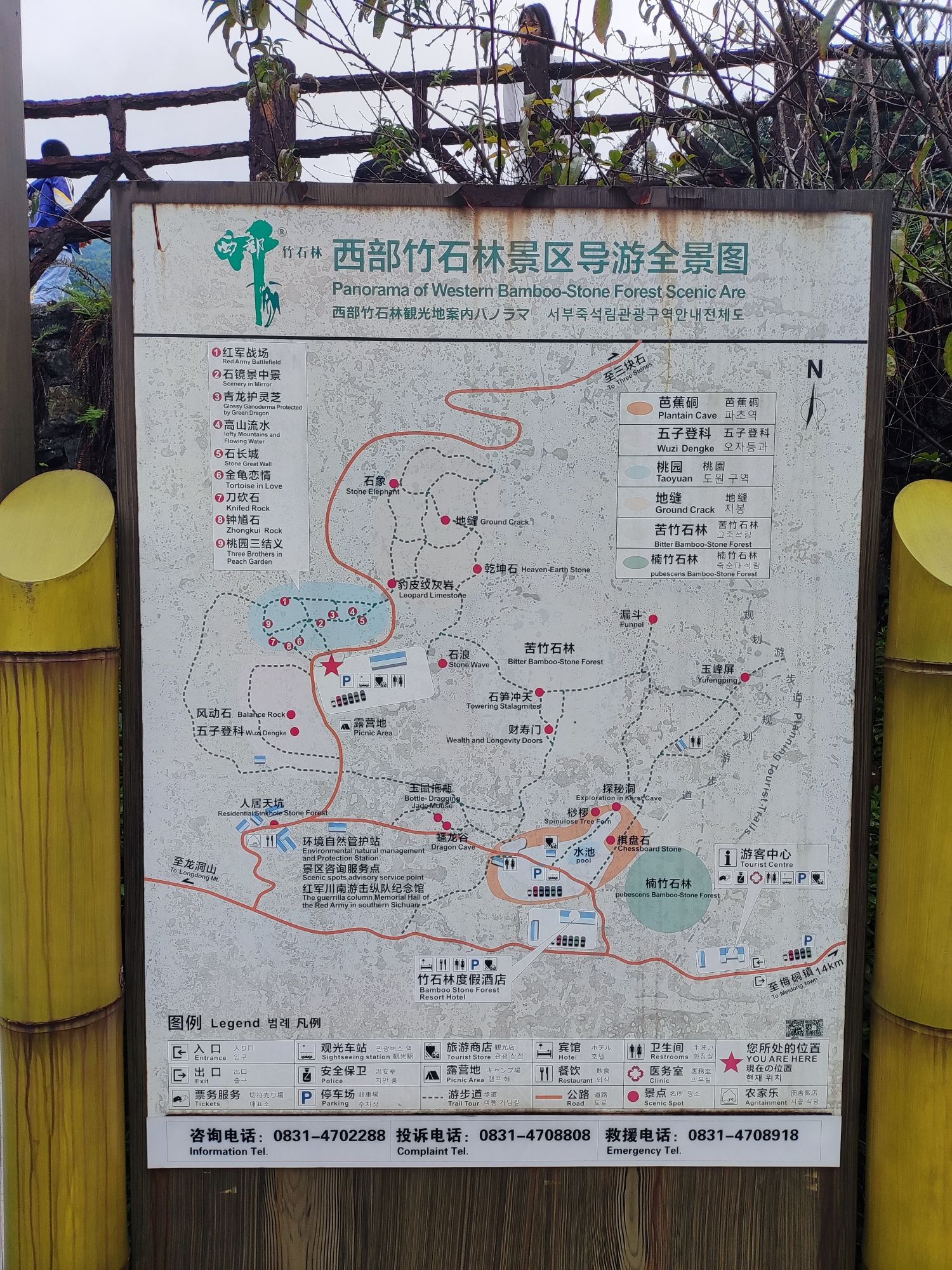 西部竹石林(暂停开放)旅行图片 1