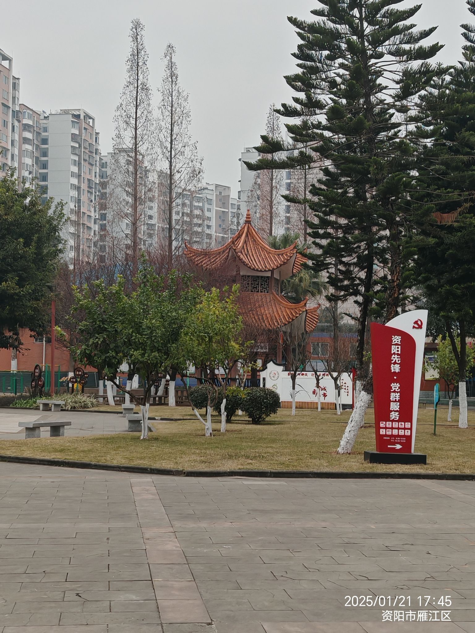 车城公园旅行图片 3