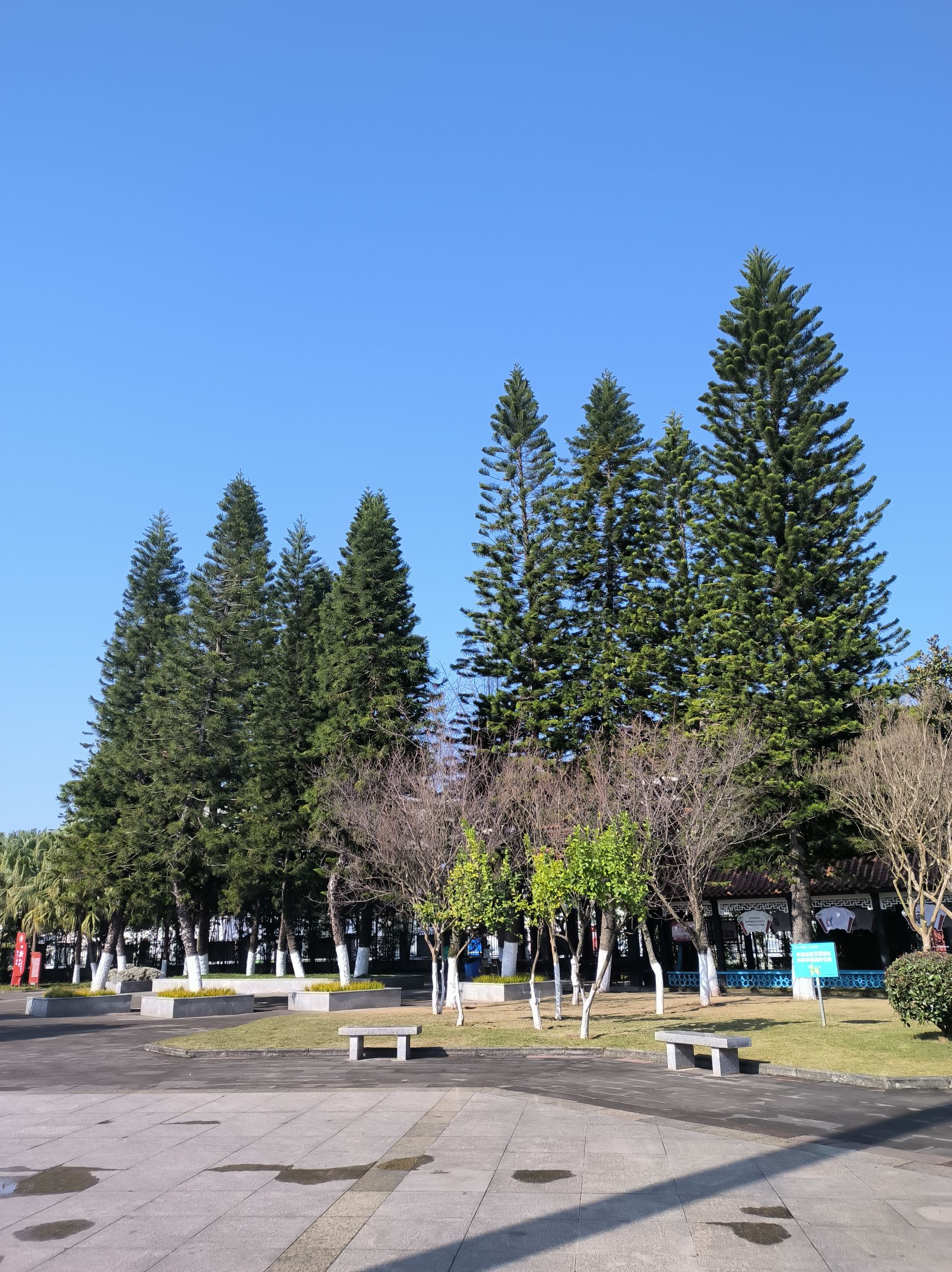 车城公园