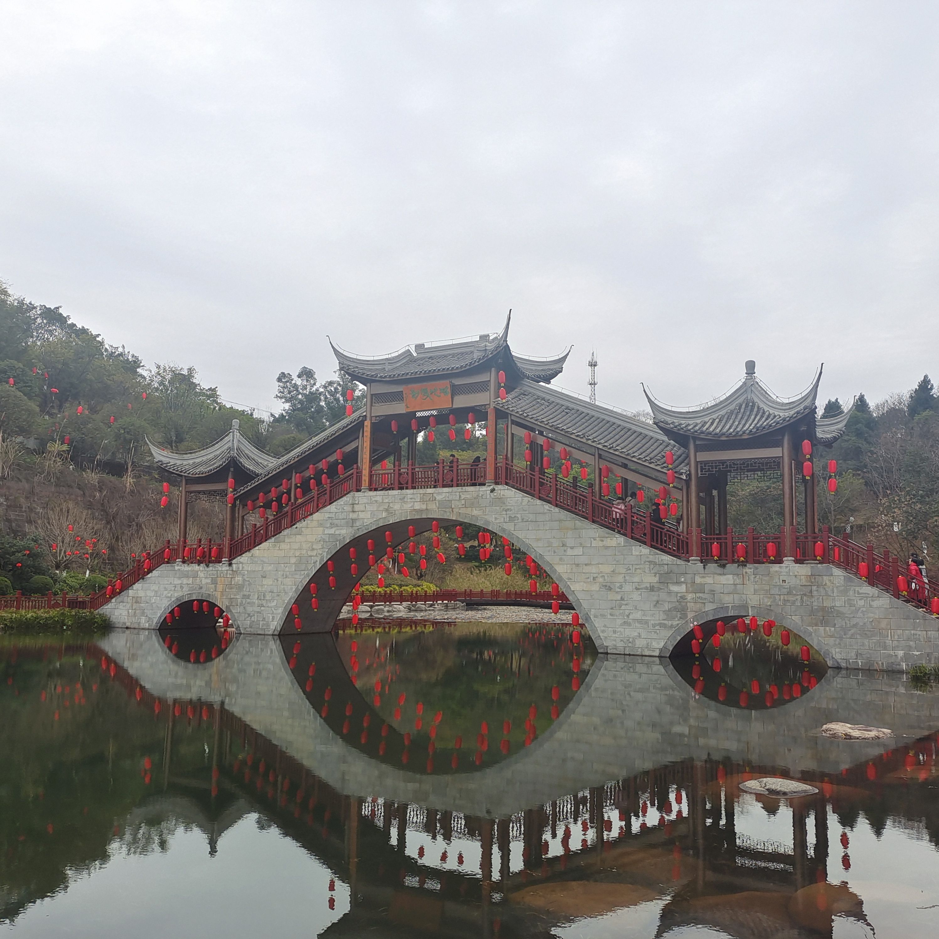 凤岭公园旅行图片 1