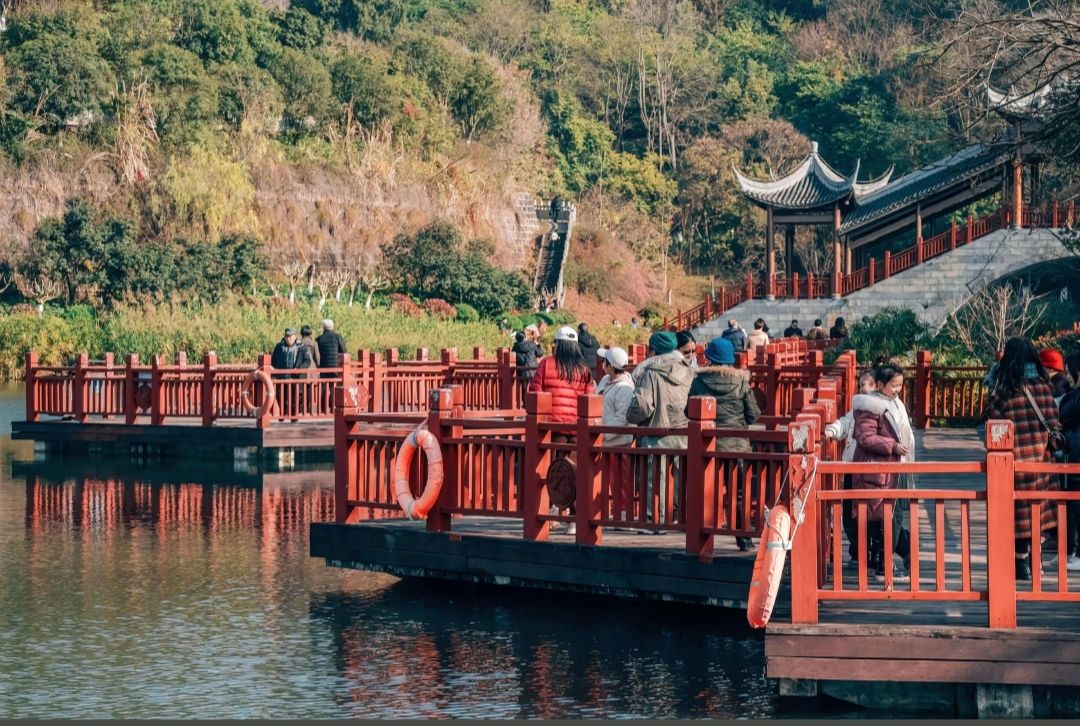 凤岭公园旅行图片 1