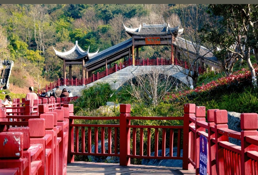 凤岭公园旅行图片 2