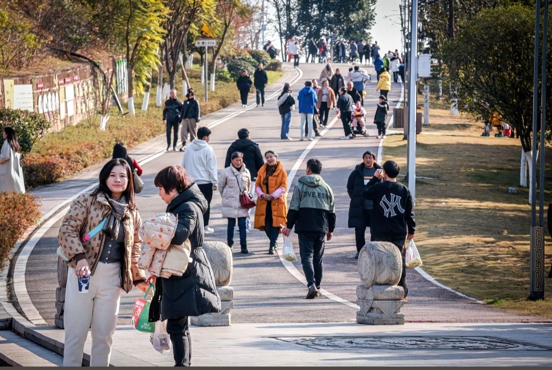 凤岭公园旅行图片 3