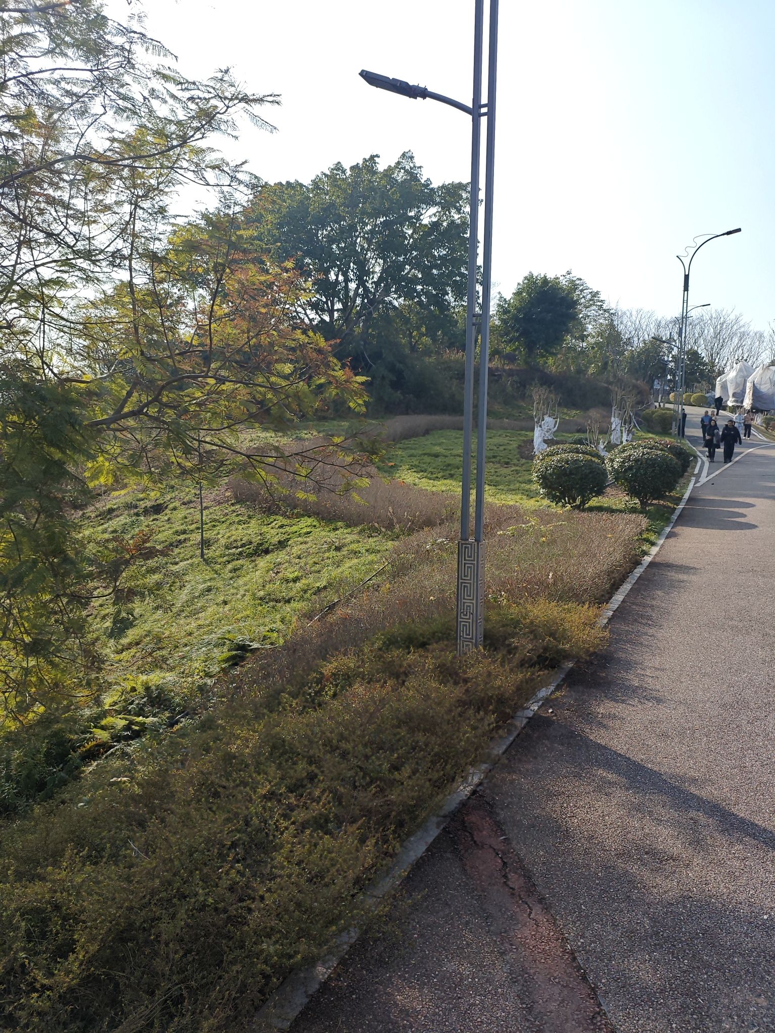 凤岭公园旅行图片 3