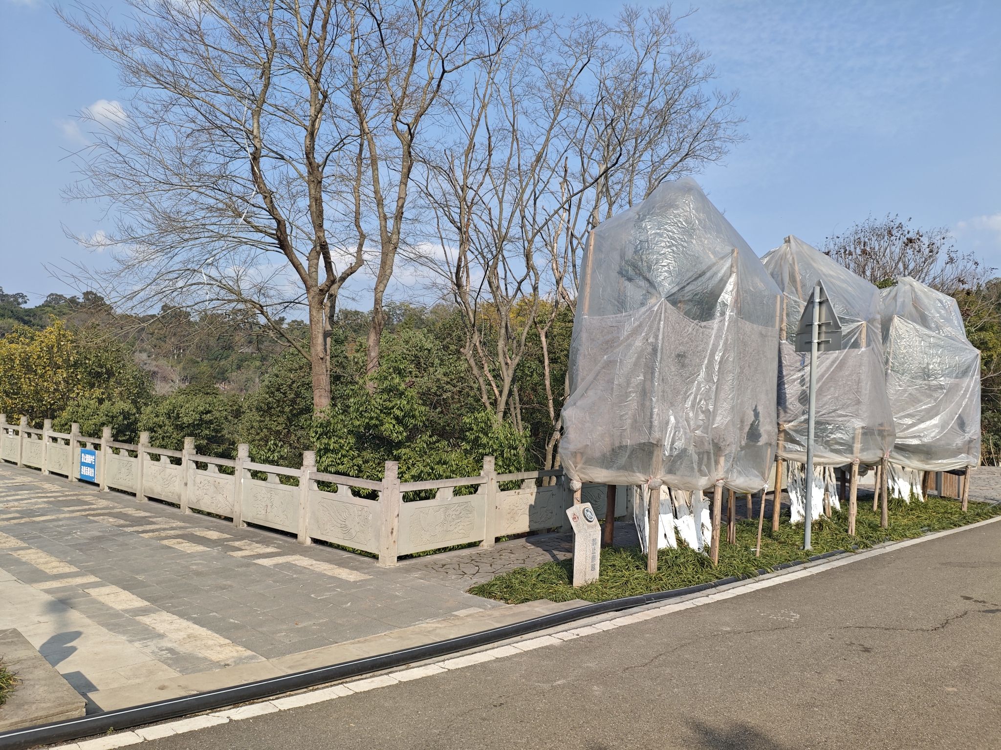 凤岭公园旅行图片 1