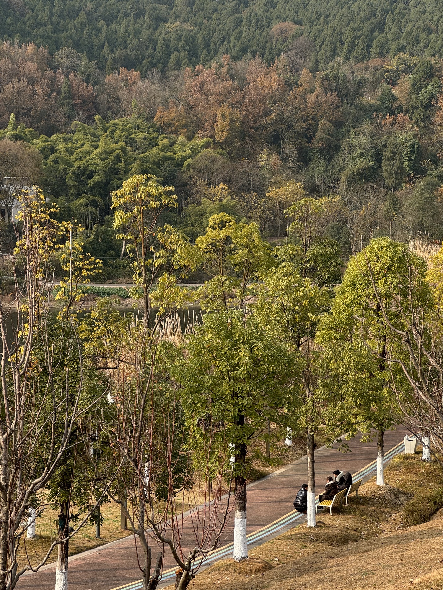 三岔湖景区旅行图片 3