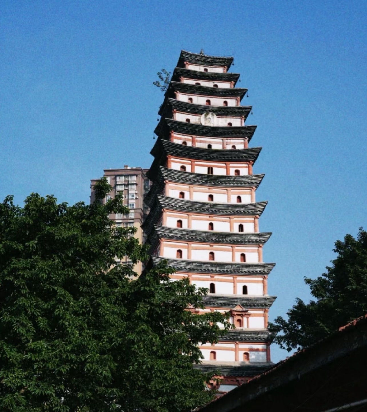 白塔园旅行图片 1