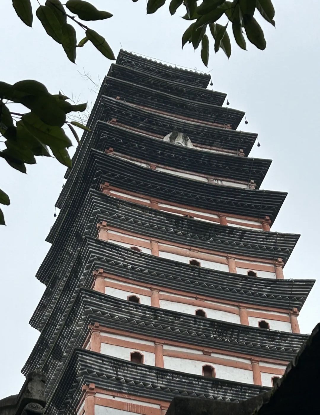 白塔园旅行图片 3