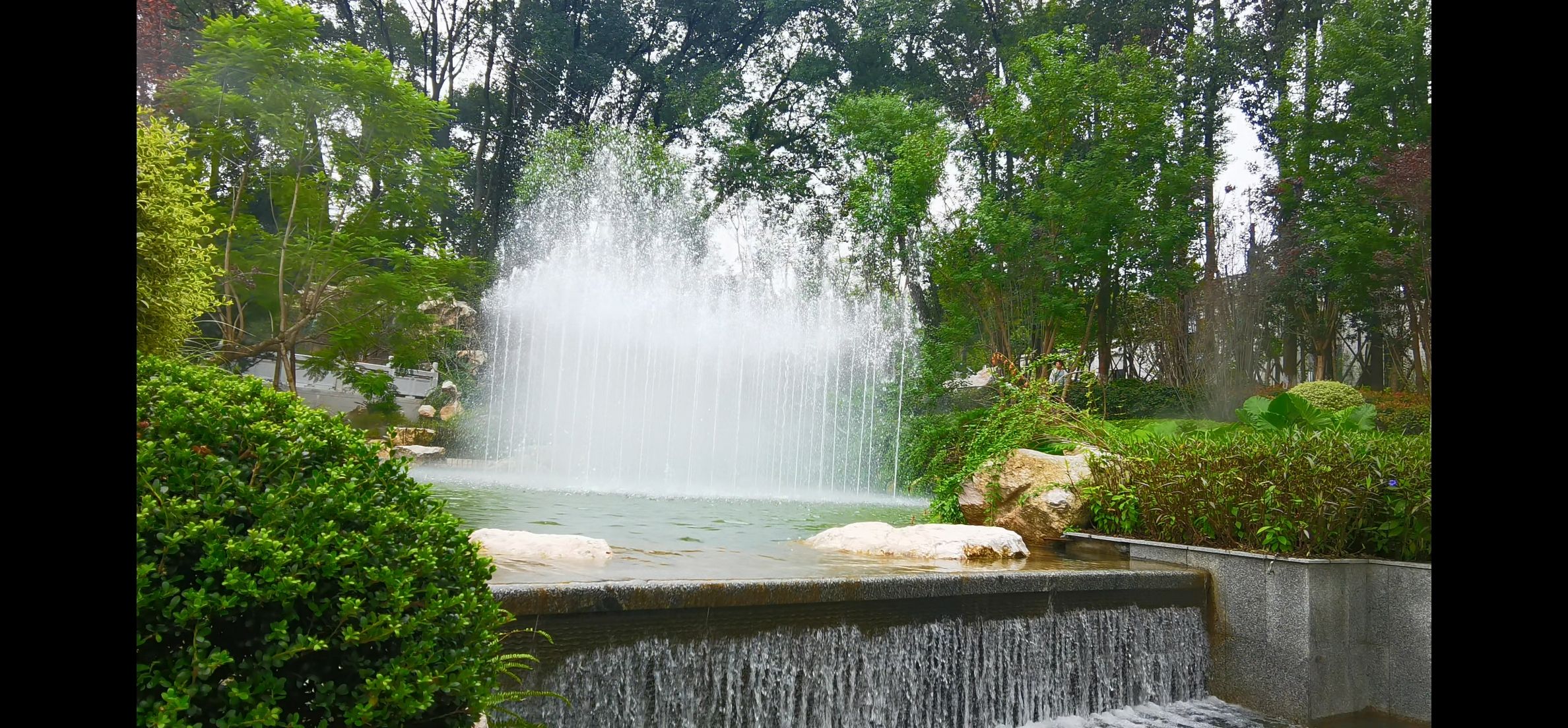 菩提山公园旅行图片 2