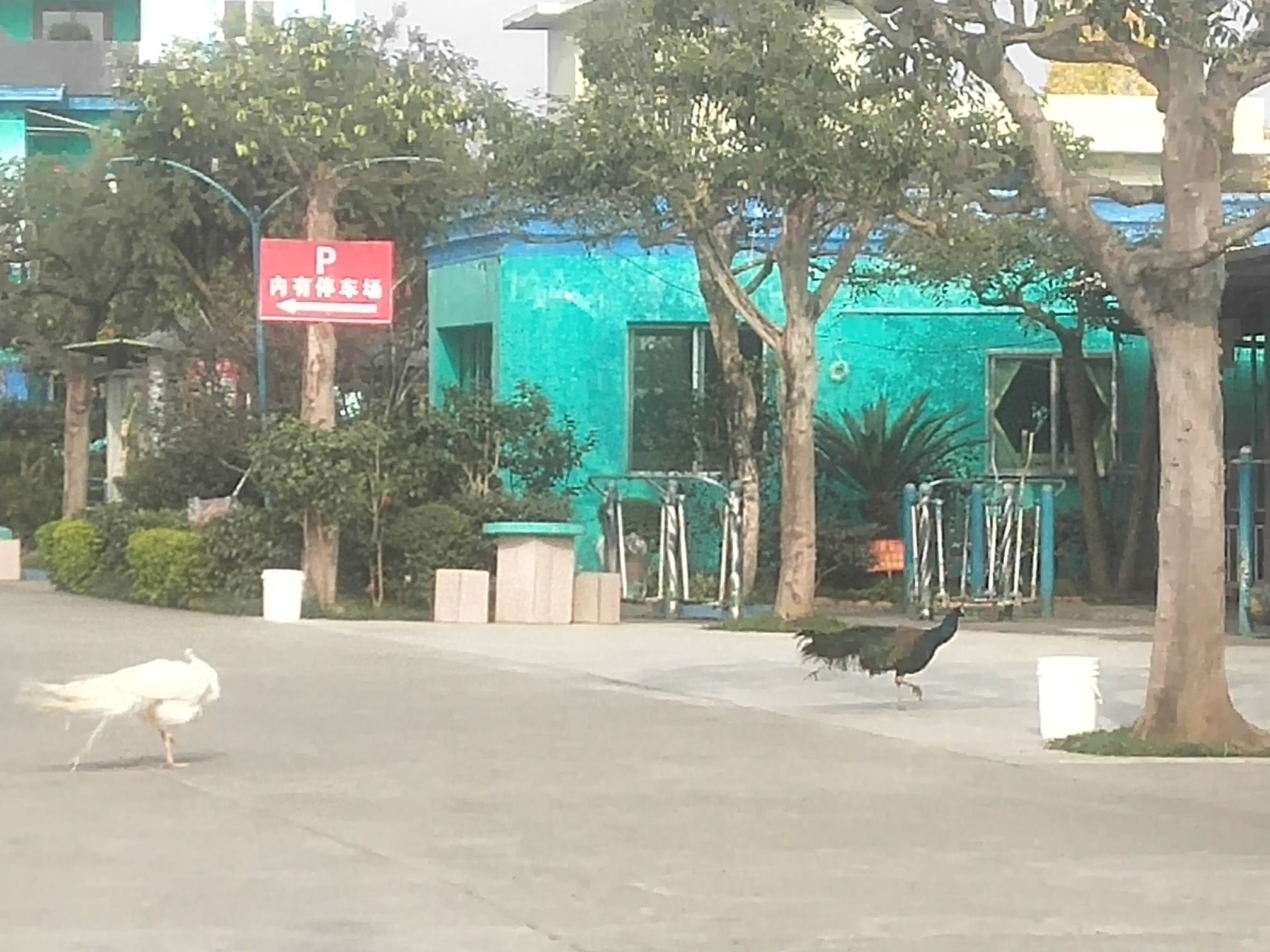 世外桃源旅行图片 2
