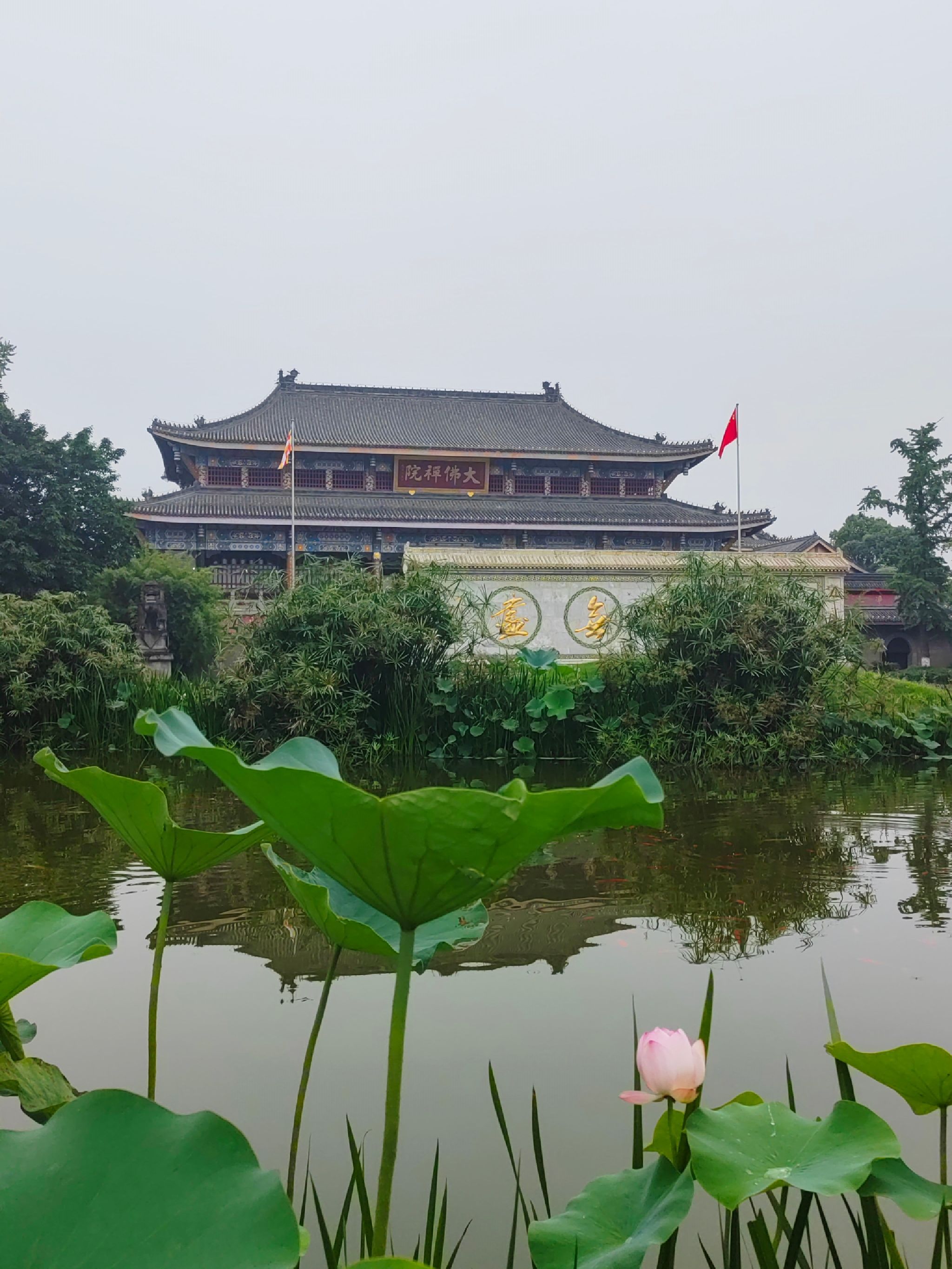 大佛禅院旅行图片 1