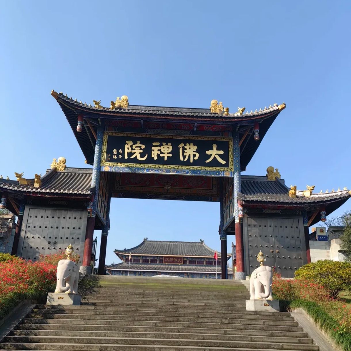 大佛禅院旅行图片 3