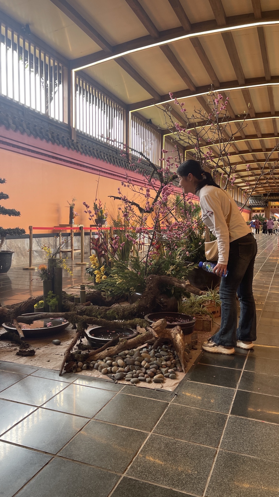 大佛禅院旅行图片 2