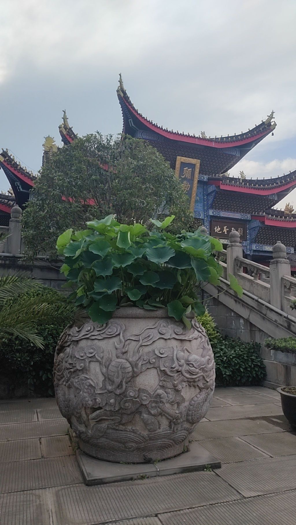 大佛禅院旅行图片 1