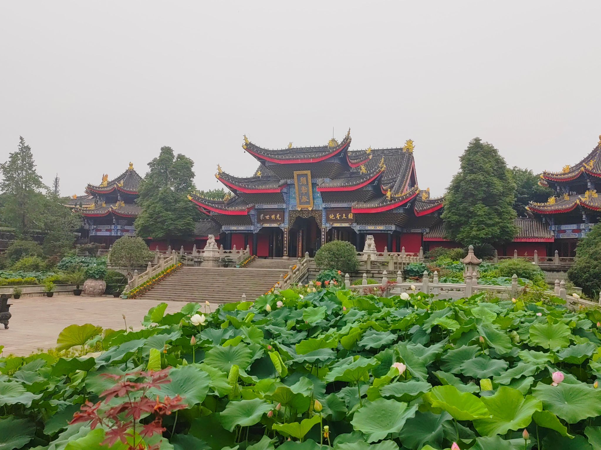 大佛禅院旅行图片 3
