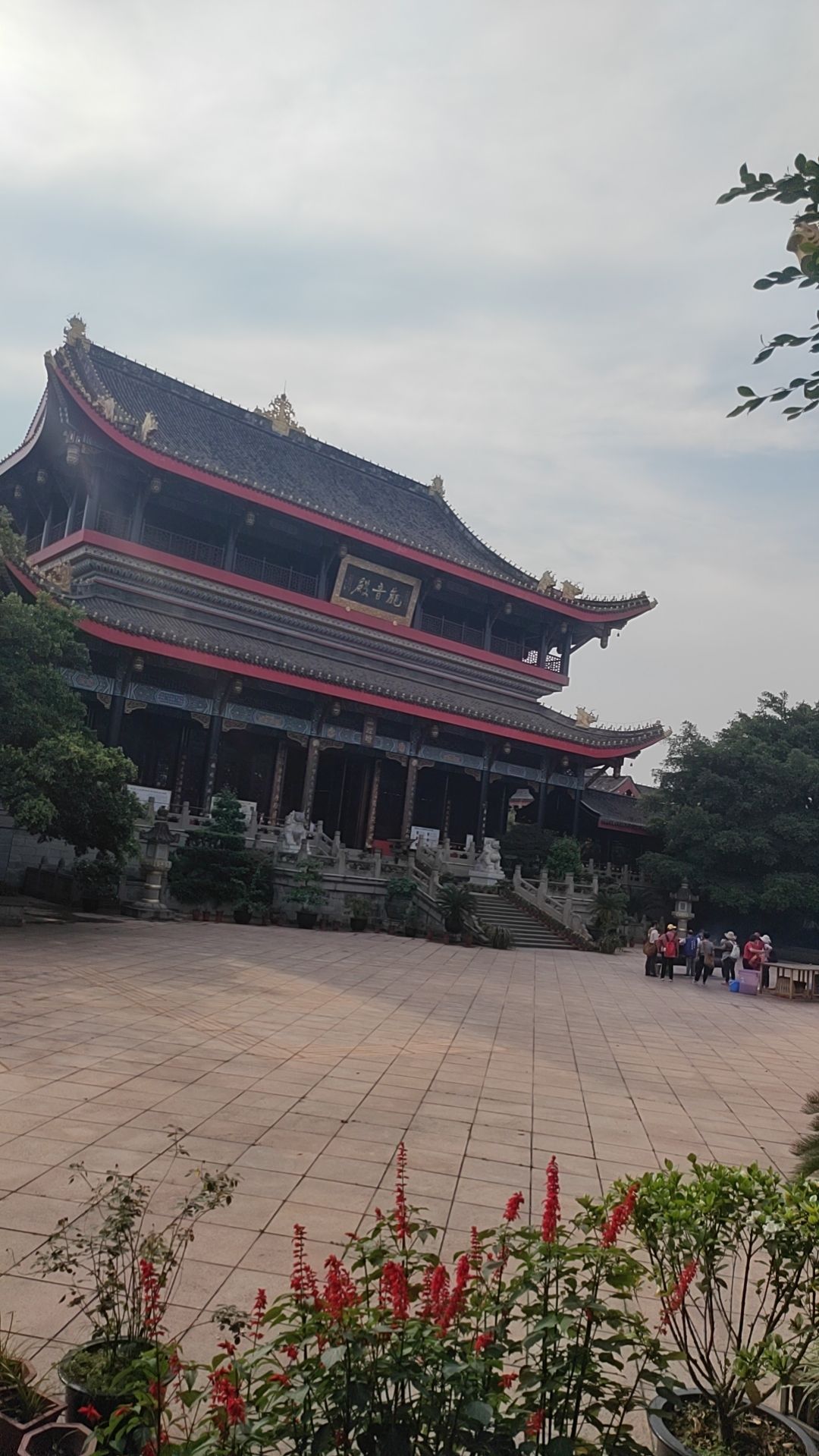 大佛禅院旅行图片 2