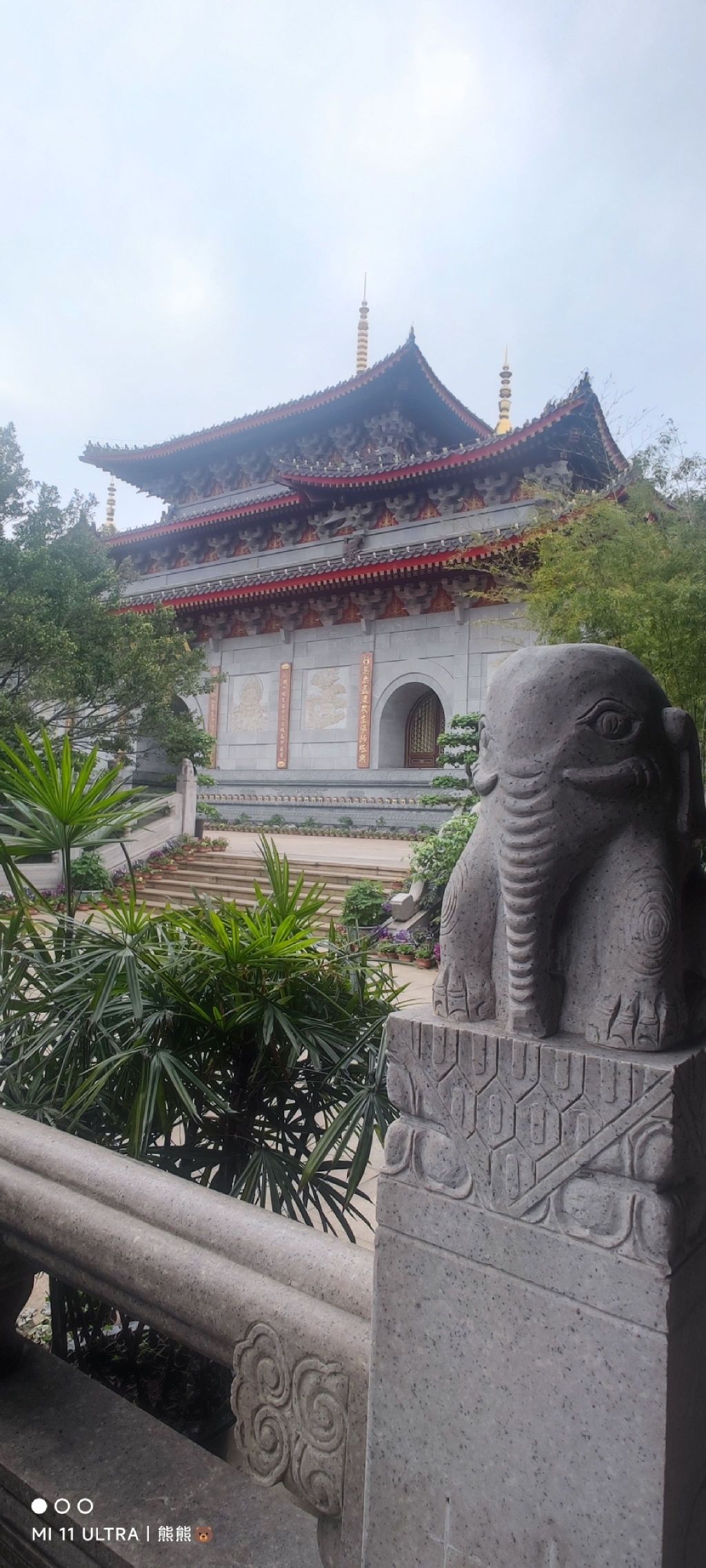 大佛禅院旅行图片 3