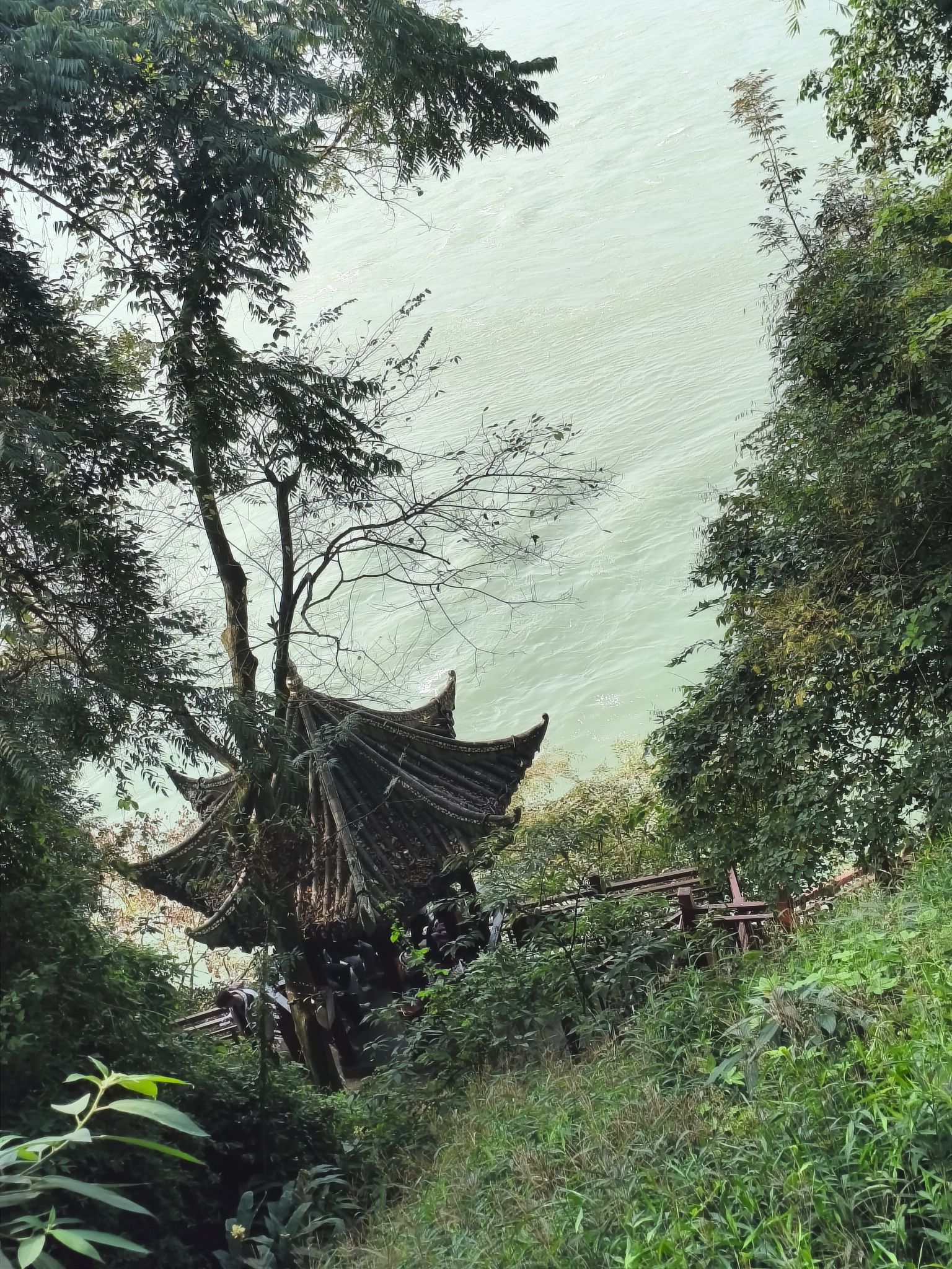 乐山大佛旅行图片 3