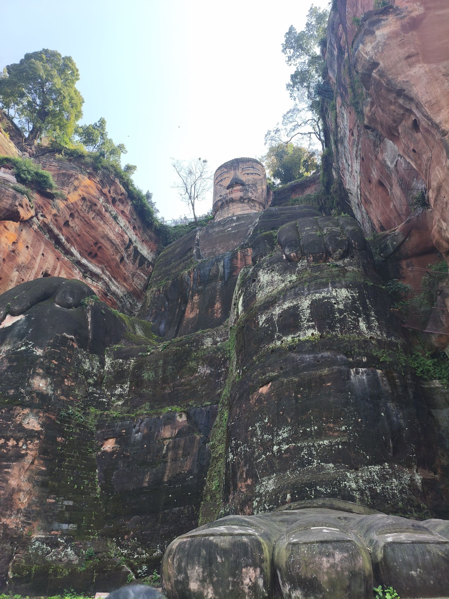 乐山大佛旅行图片 1