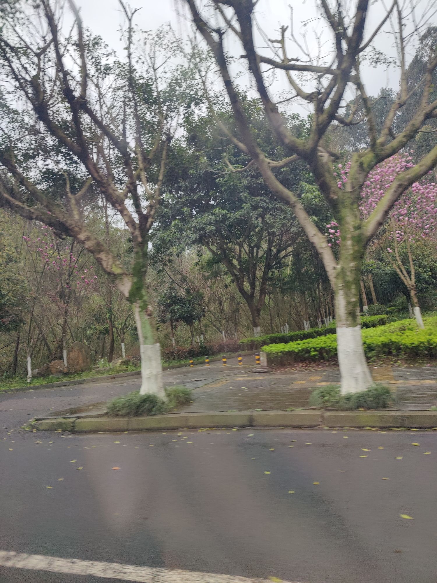 乐山师范学院北区旅游学院