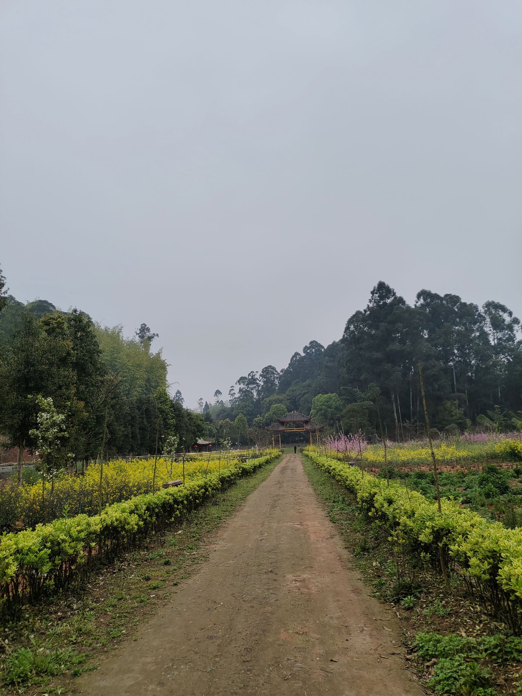 金鹰山庄旅行图片 3