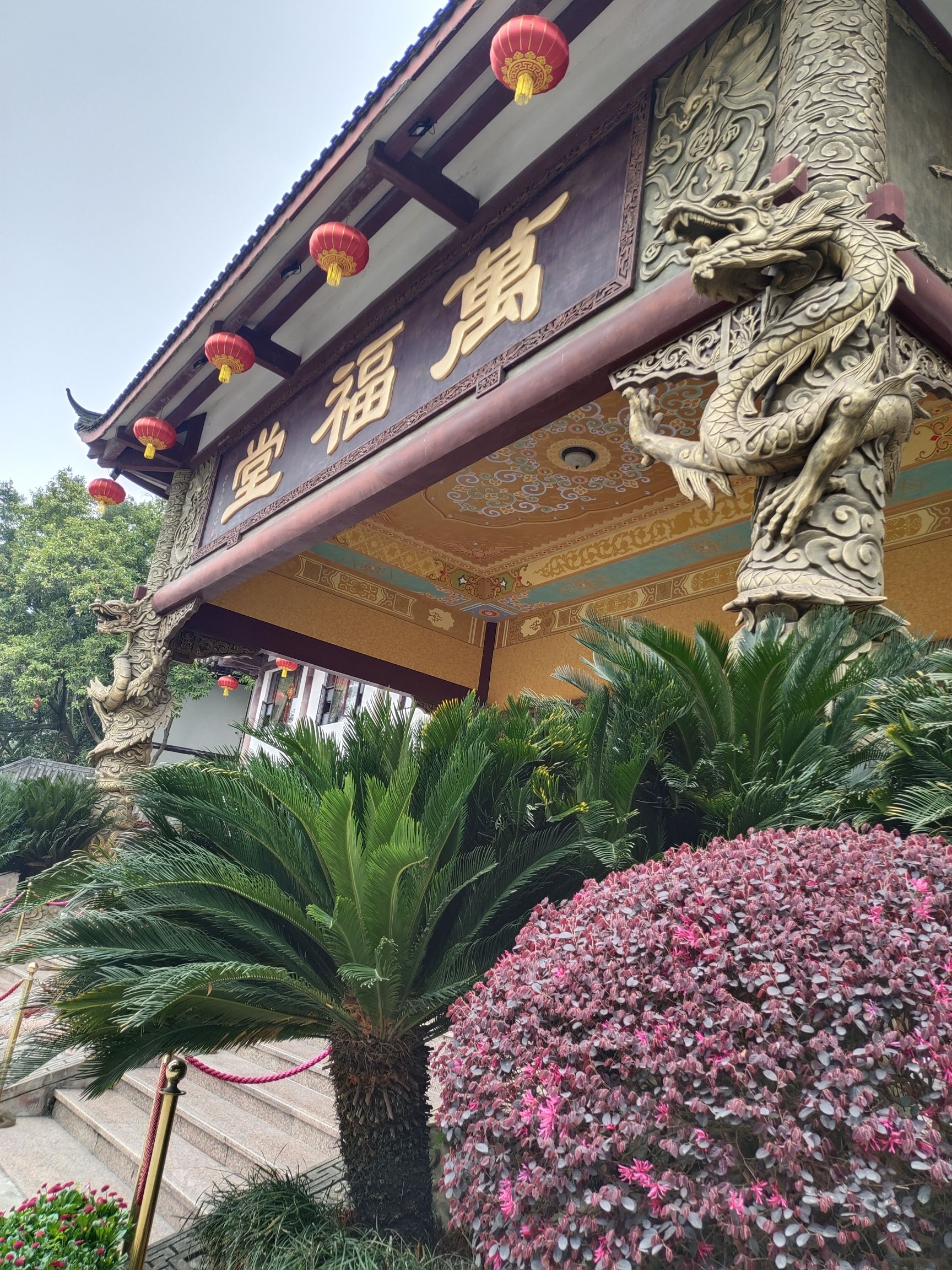 金鹰山庄旅行图片 2