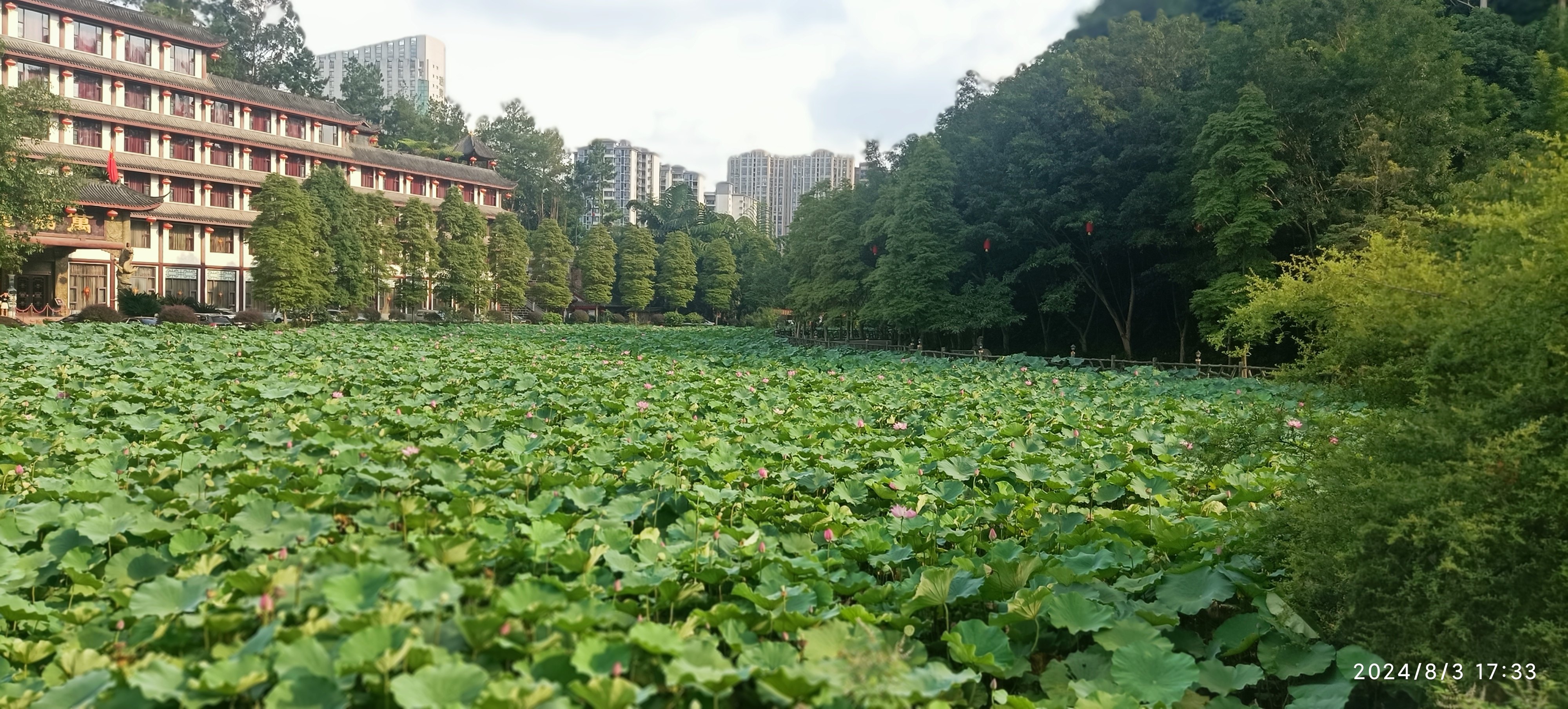 金鹰山庄旅行图片 3