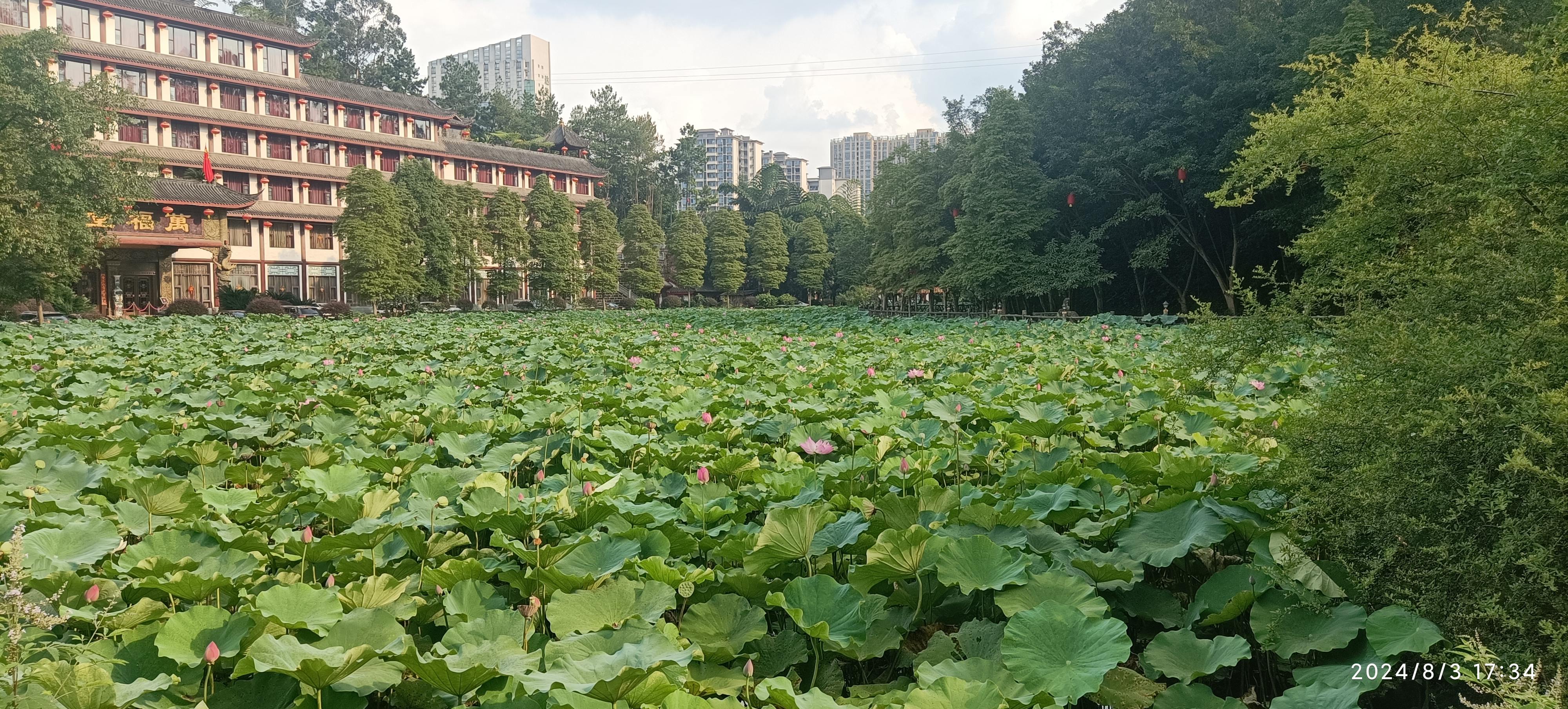 金鹰山庄旅行图片 2
