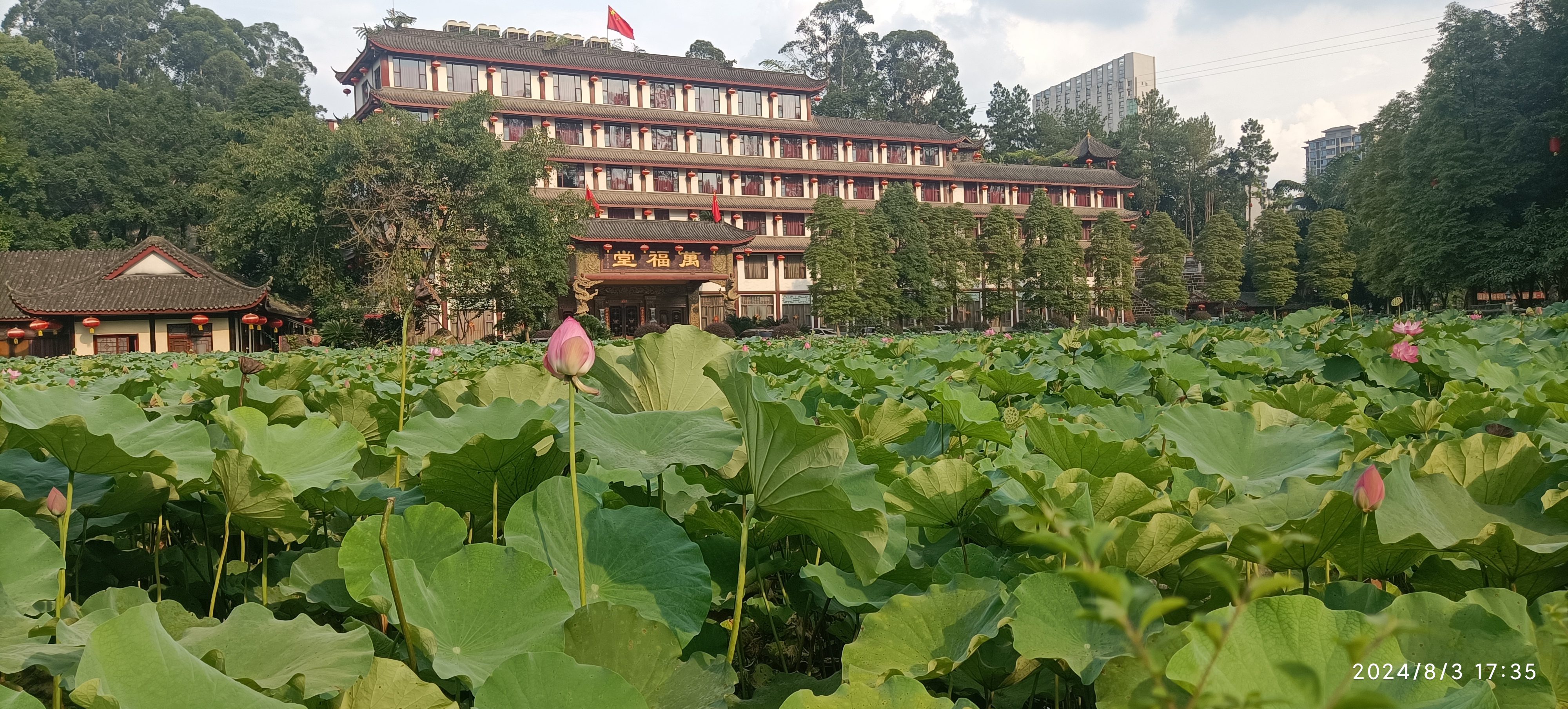 金鹰山庄旅行图片 1
