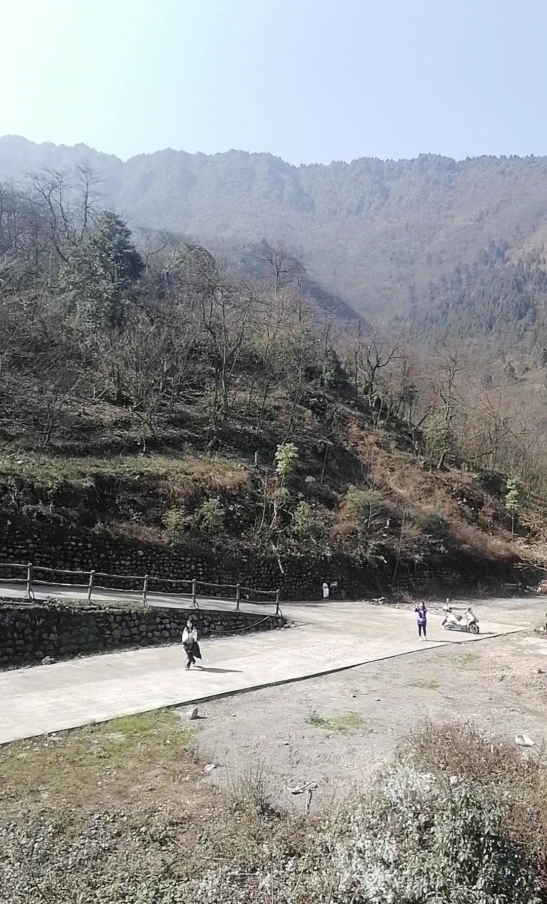 沙湾美女峰森林公园(暂停开放)旅行图片 1
