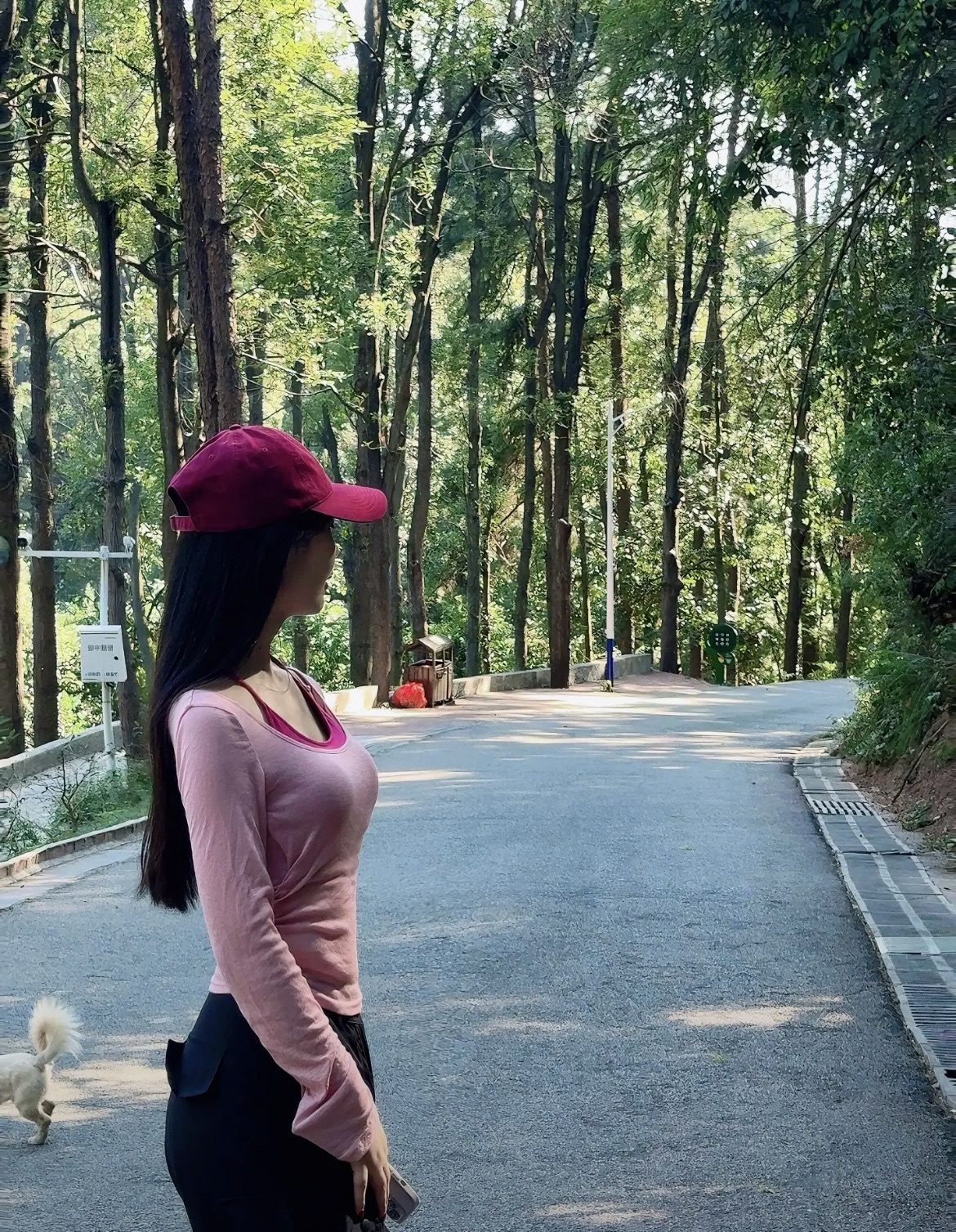 沙湾美女峰森林公园(暂停开放)旅行图片 2