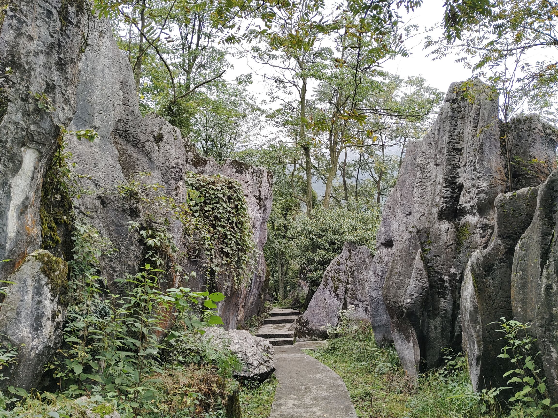 沙湾美女峰森林公园(暂停开放)旅行图片 2