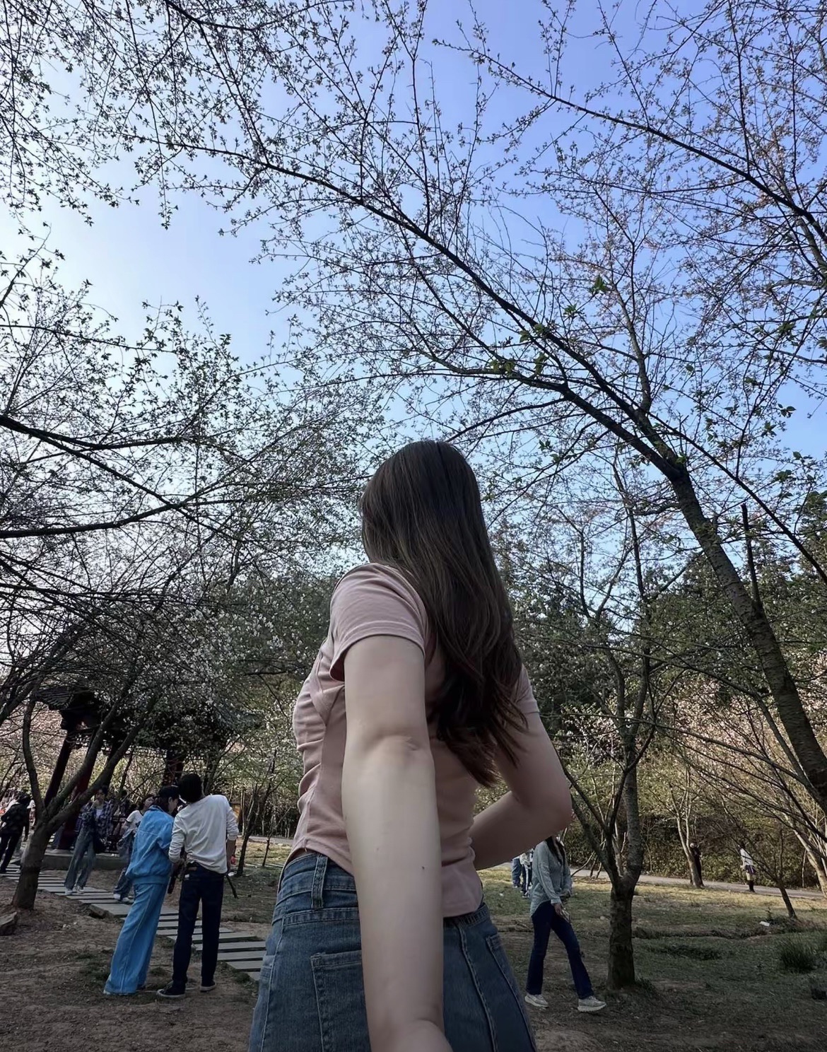 沙湾美女峰森林公园(暂停开放)旅行图片 1