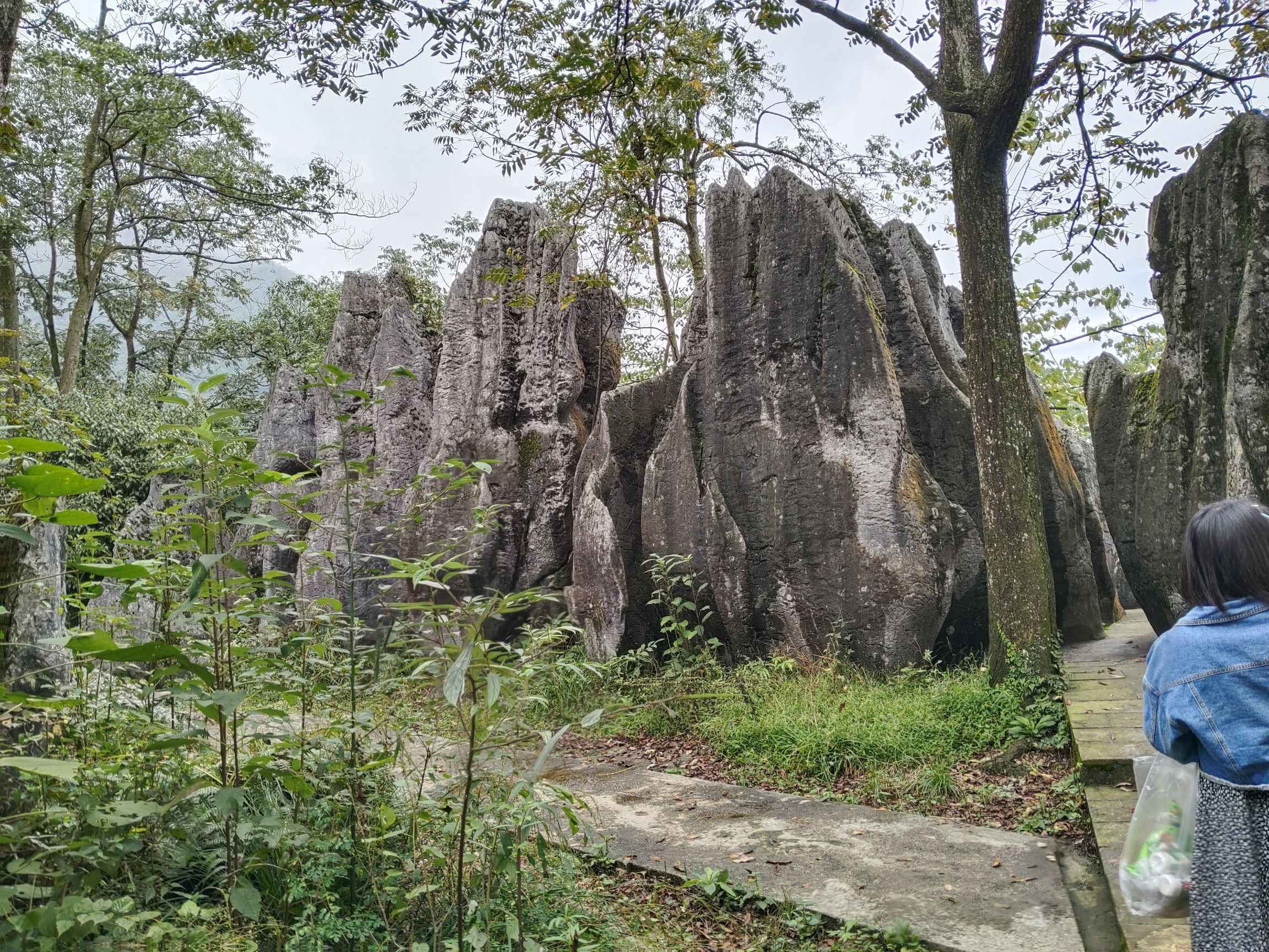 沙湾美女峰森林公园(暂停开放)旅行图片 3