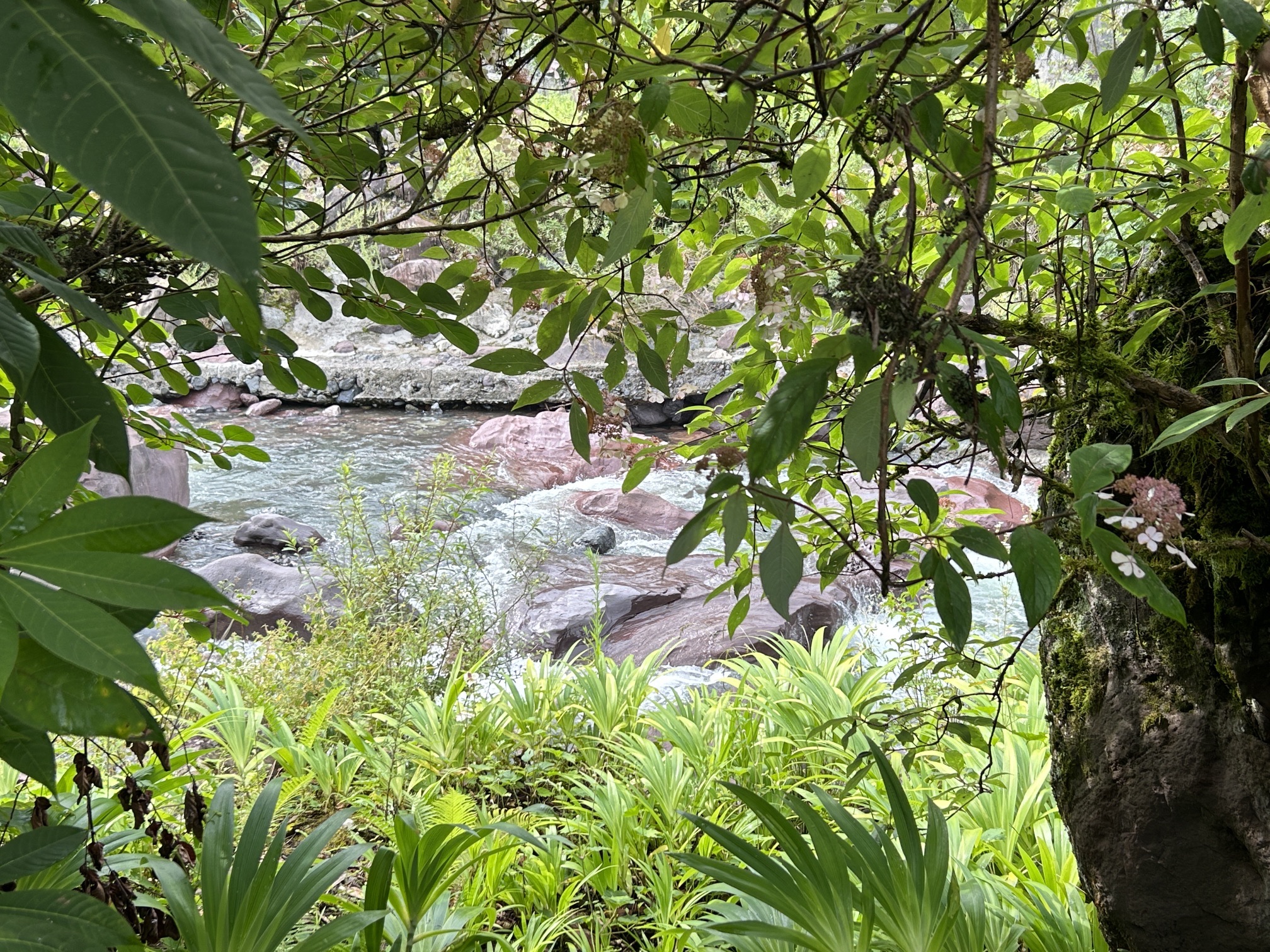 黑竹沟景区旅行图片 1