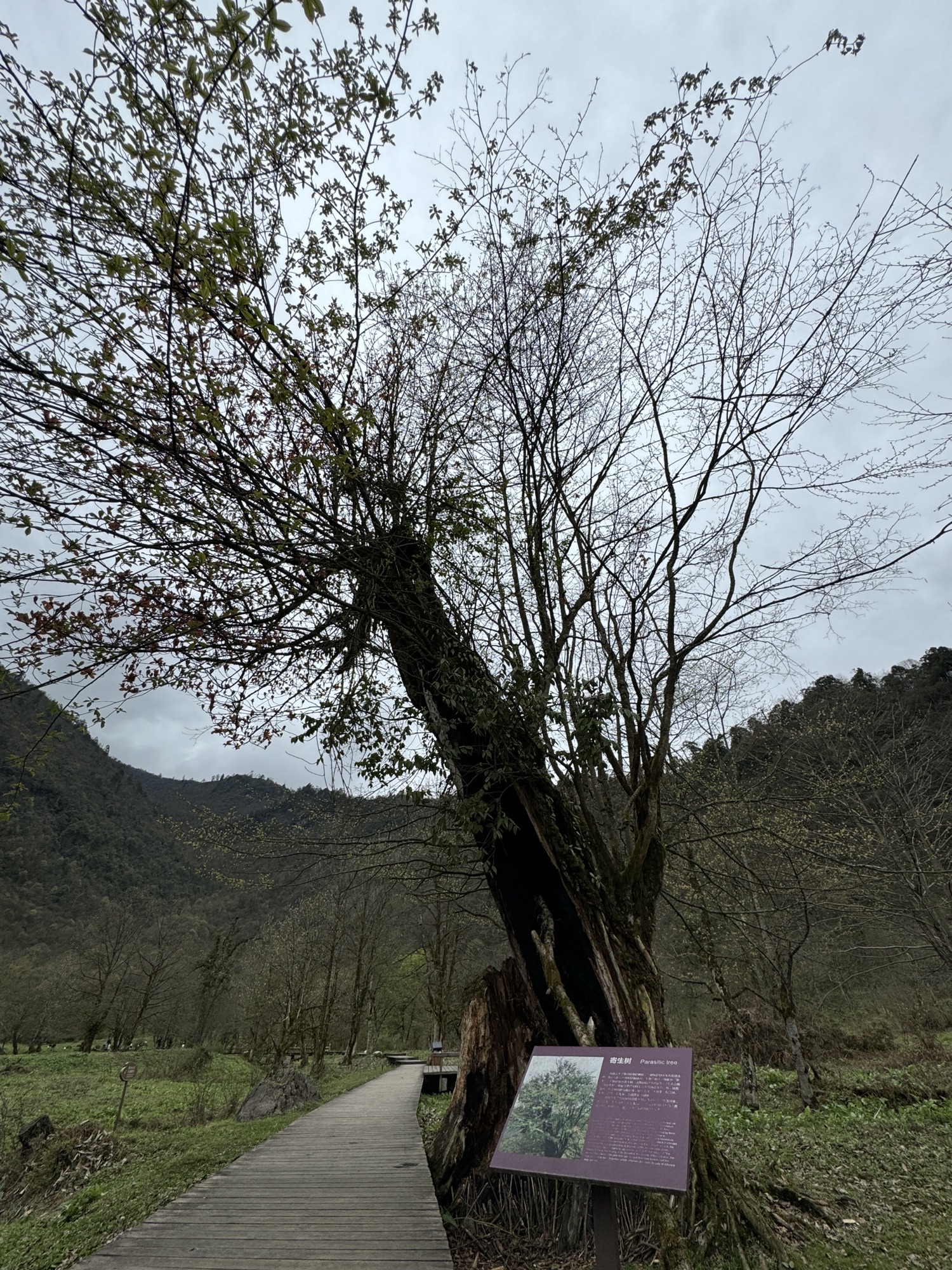 黑竹沟景区旅行图片 2