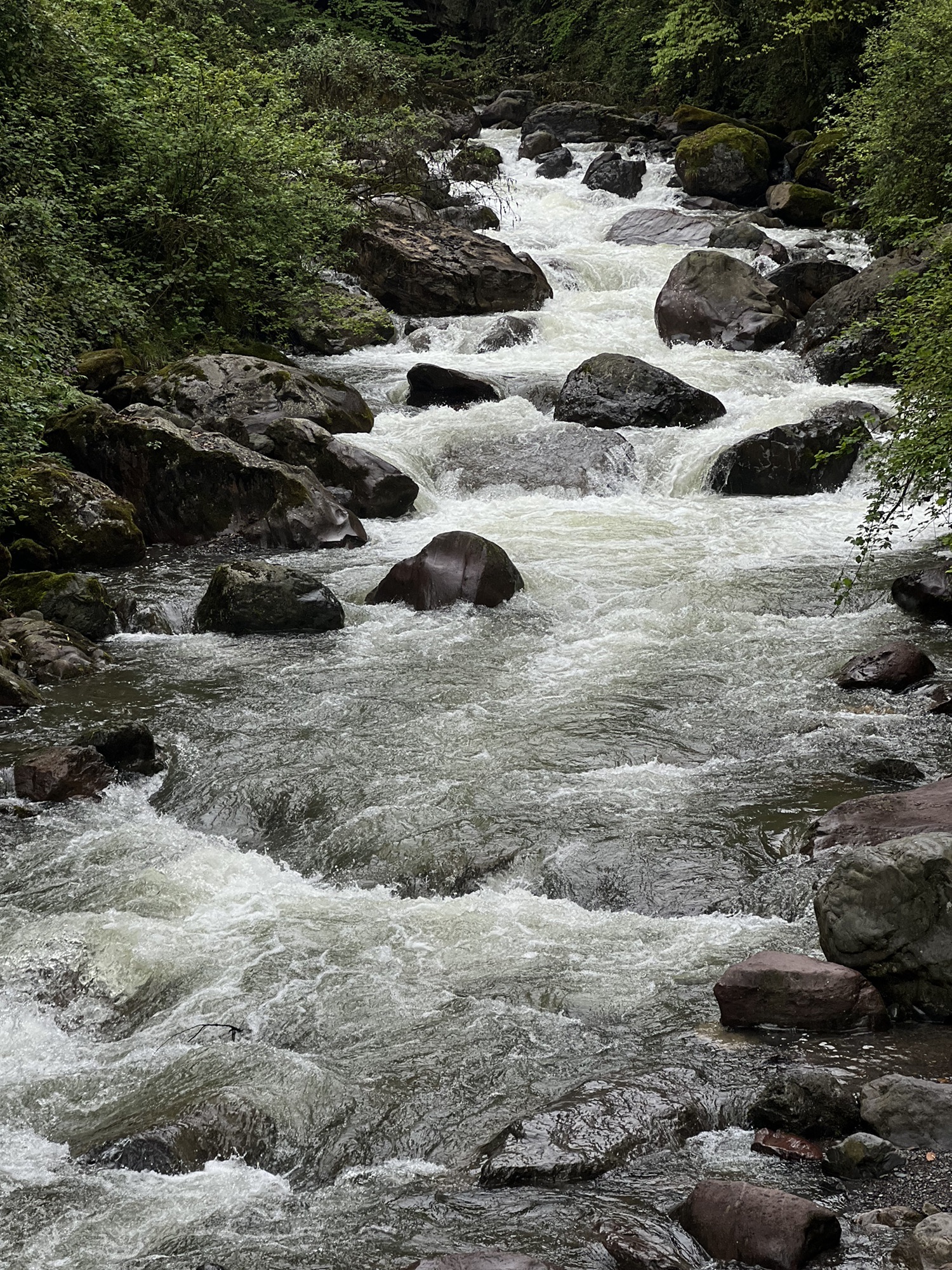 黑竹沟景区旅行图片 1