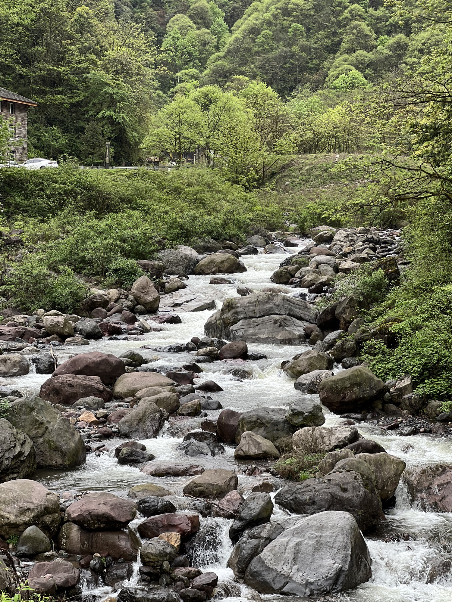 黑竹沟景区旅行图片 2