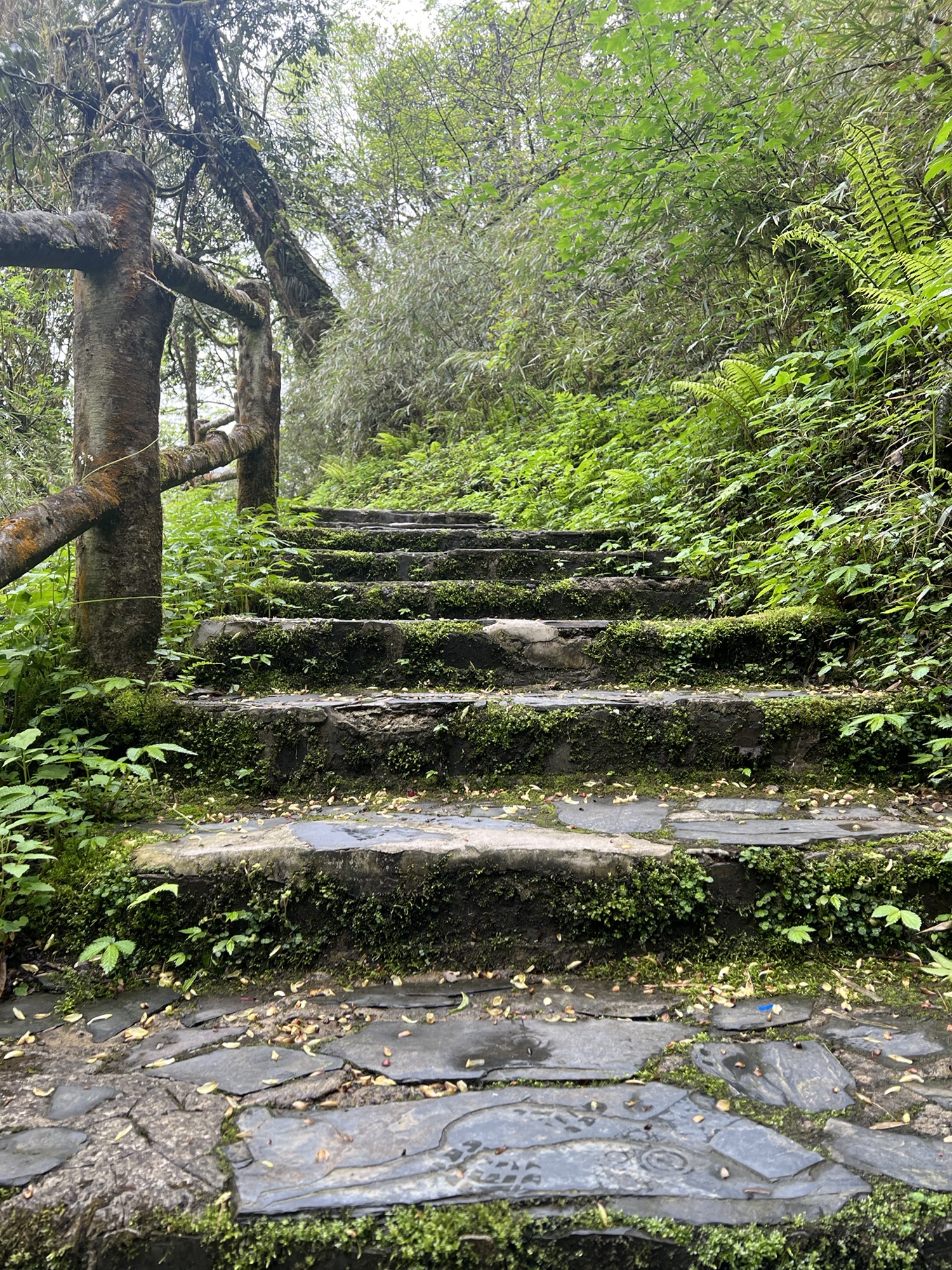 黑竹沟景区旅行图片 3