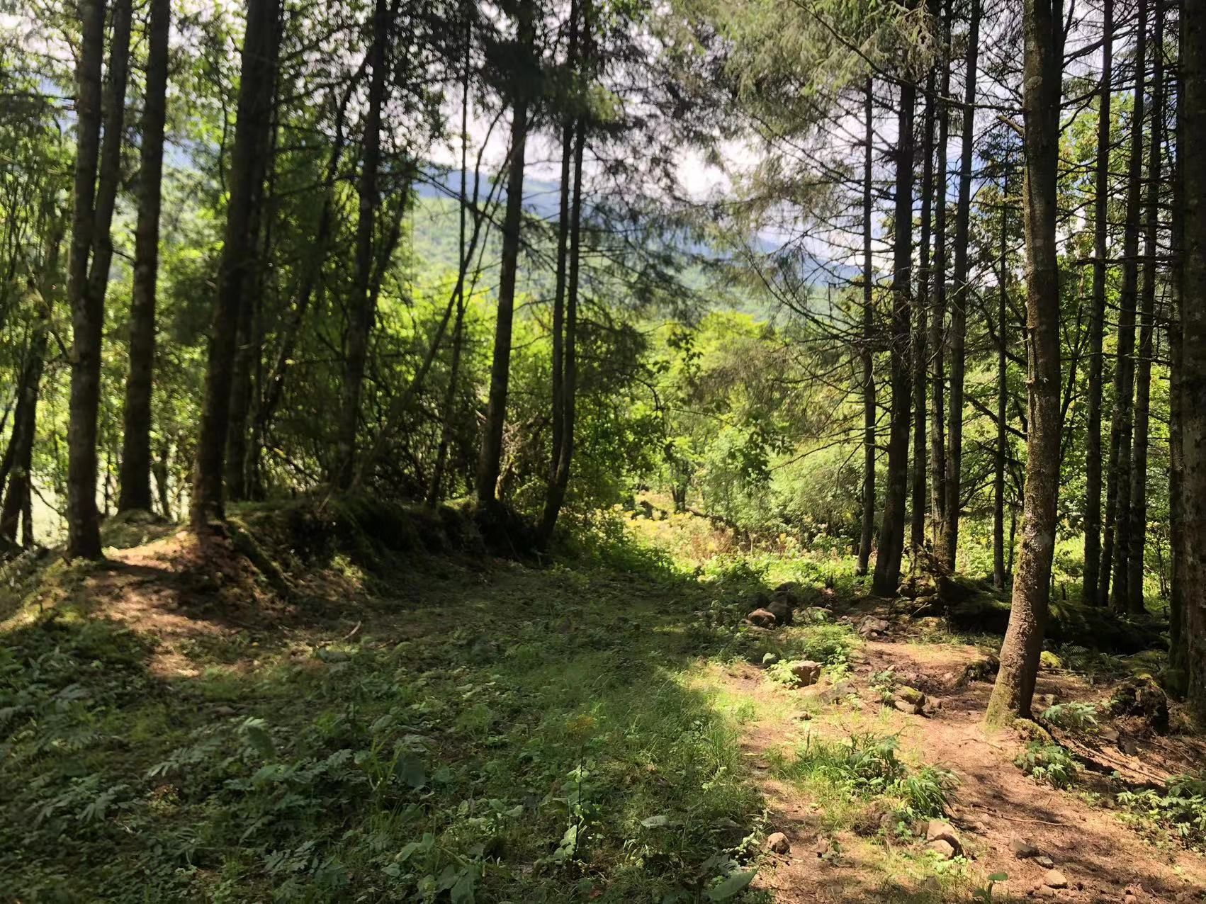 杜鹃池旅行图片 2