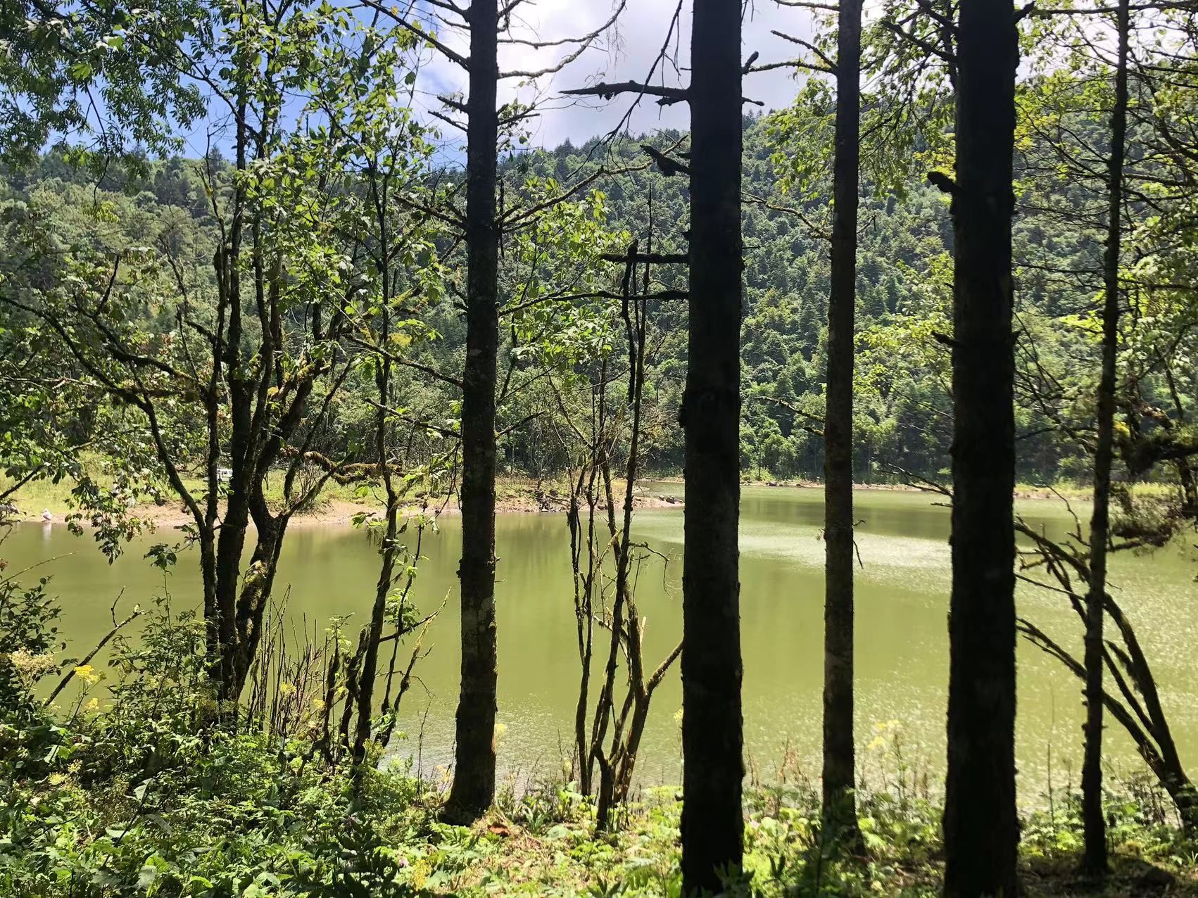 杜鹃池旅行图片 3
