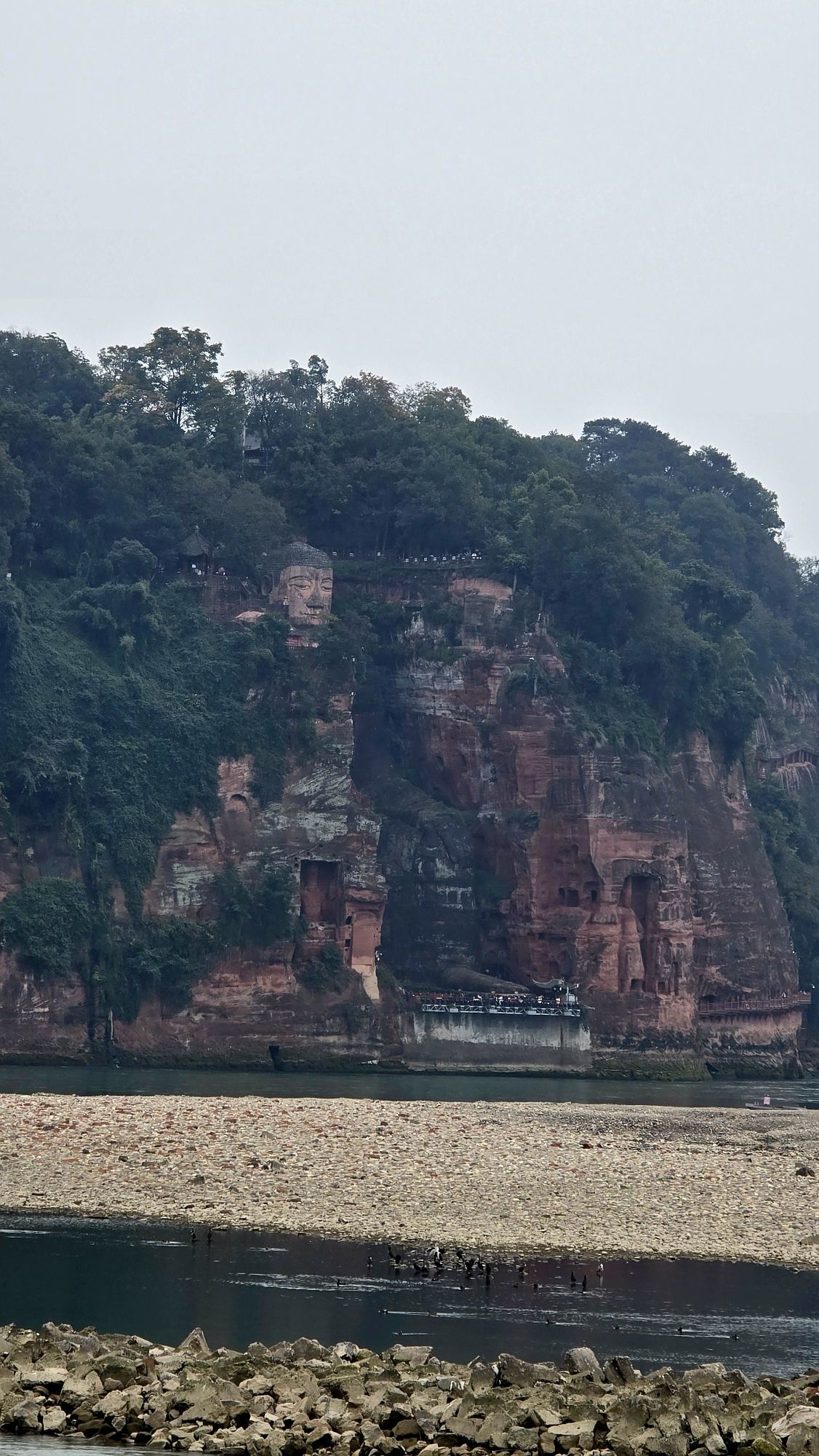 沫若广场旅行图片 1