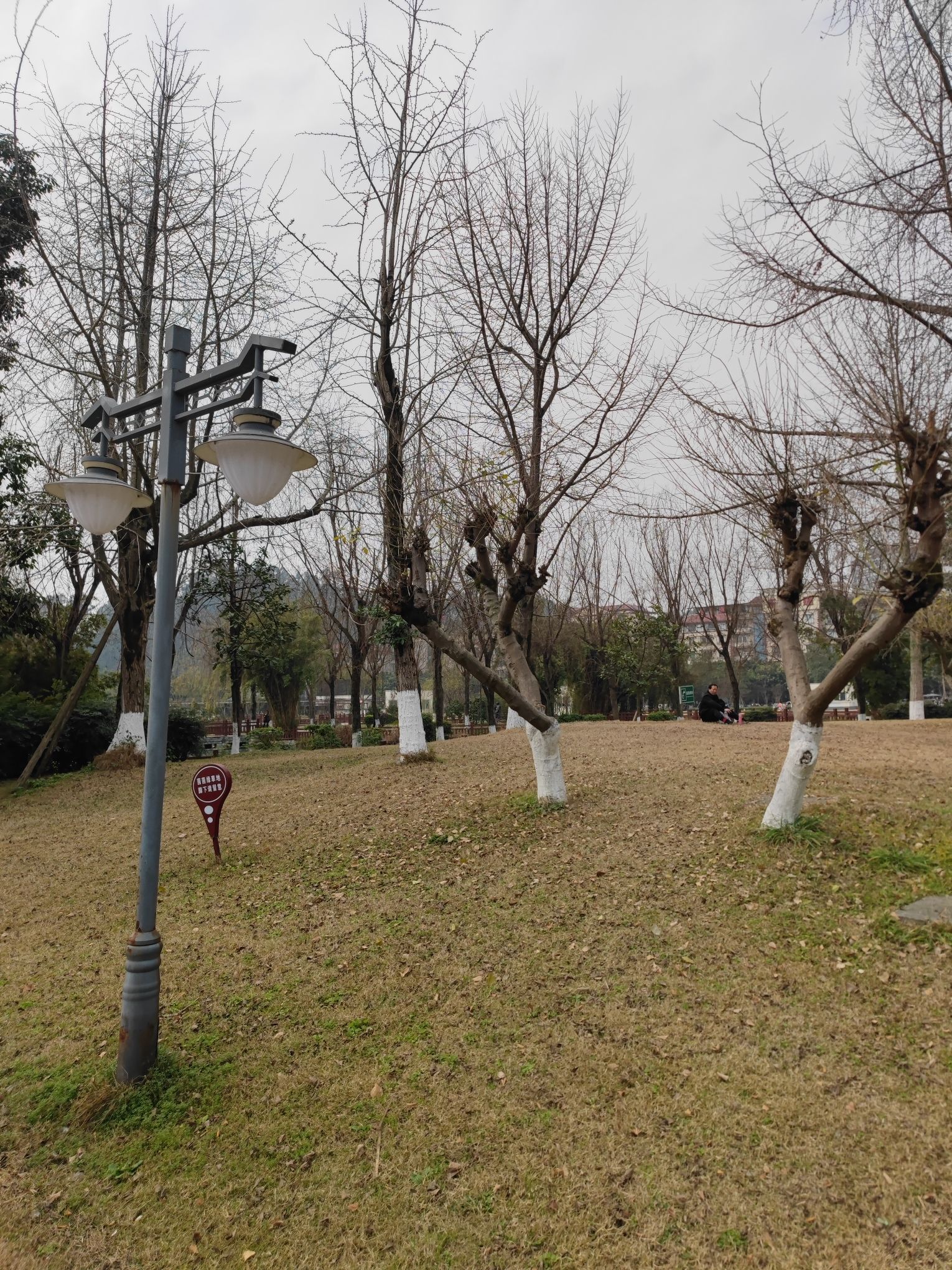 乐山广场旅行图片 3