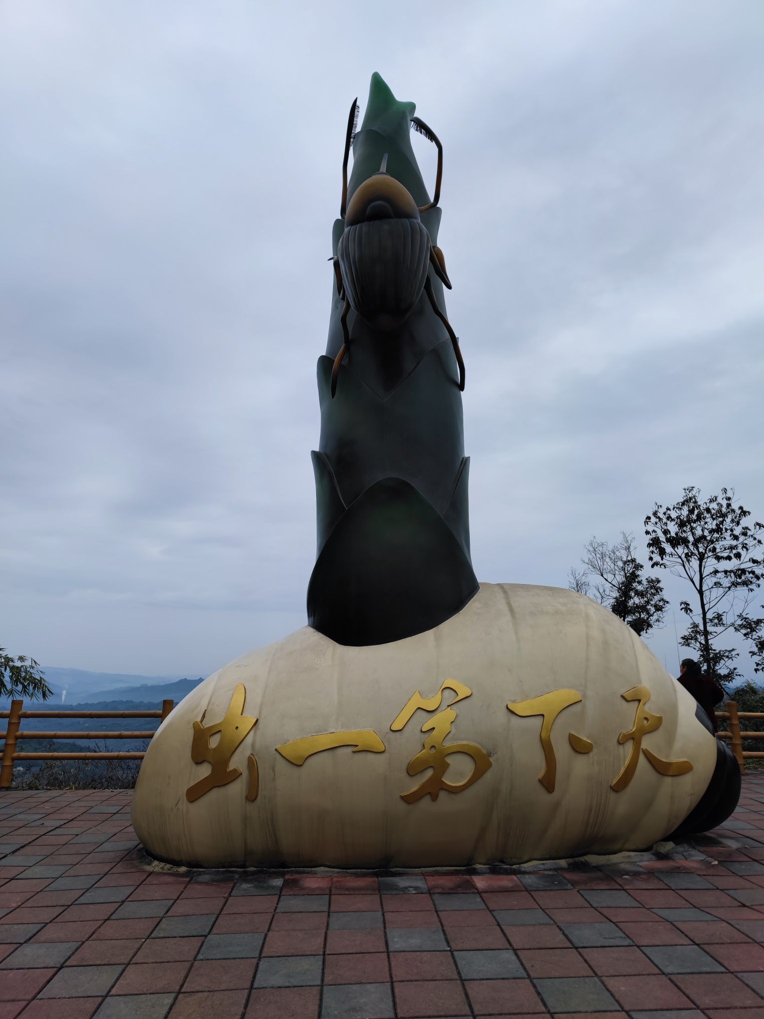 沐川竹海景区旅行图片