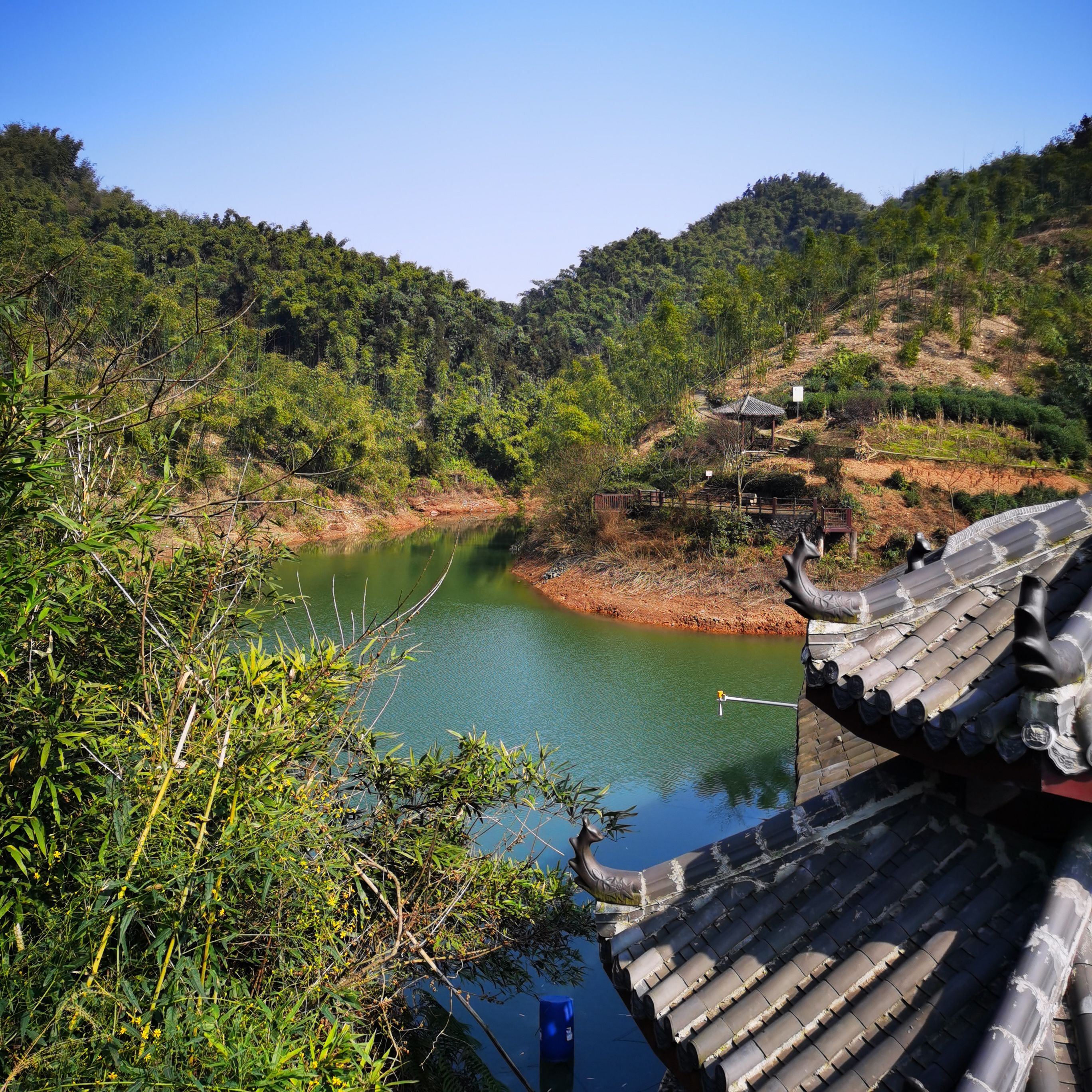 沐川竹海景区旅行图片 2