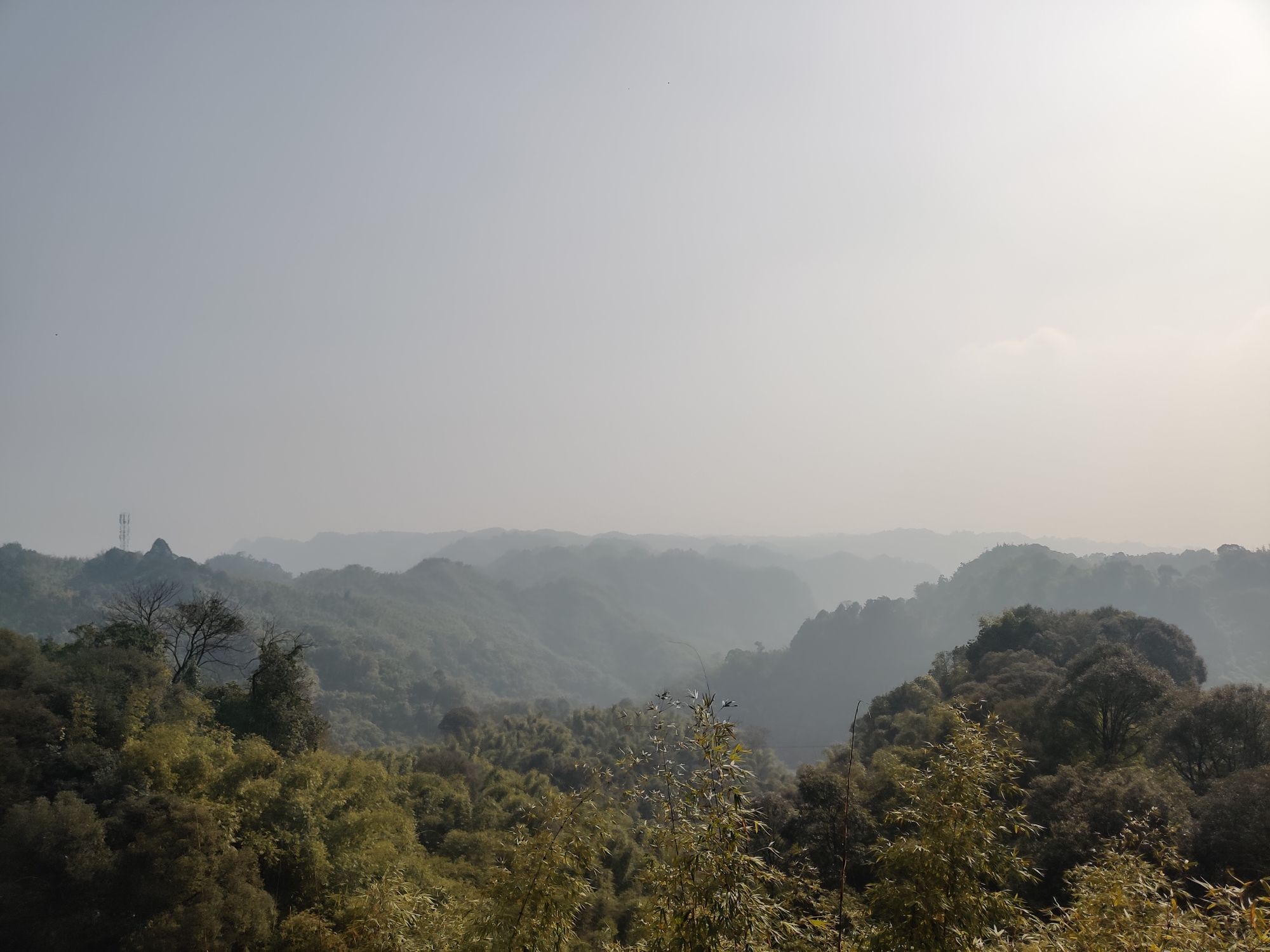 沐川竹海景区旅行图片 3