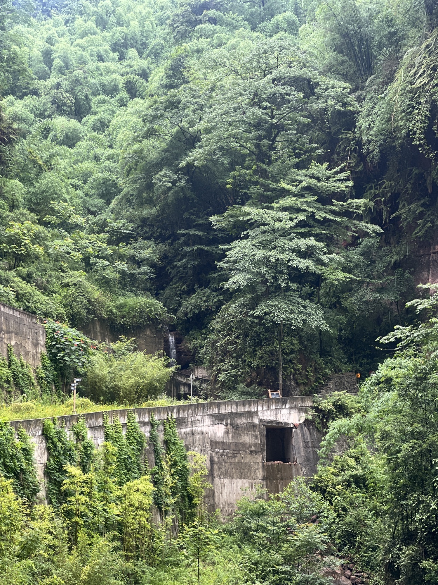 沐川竹海景区旅行图片 1
