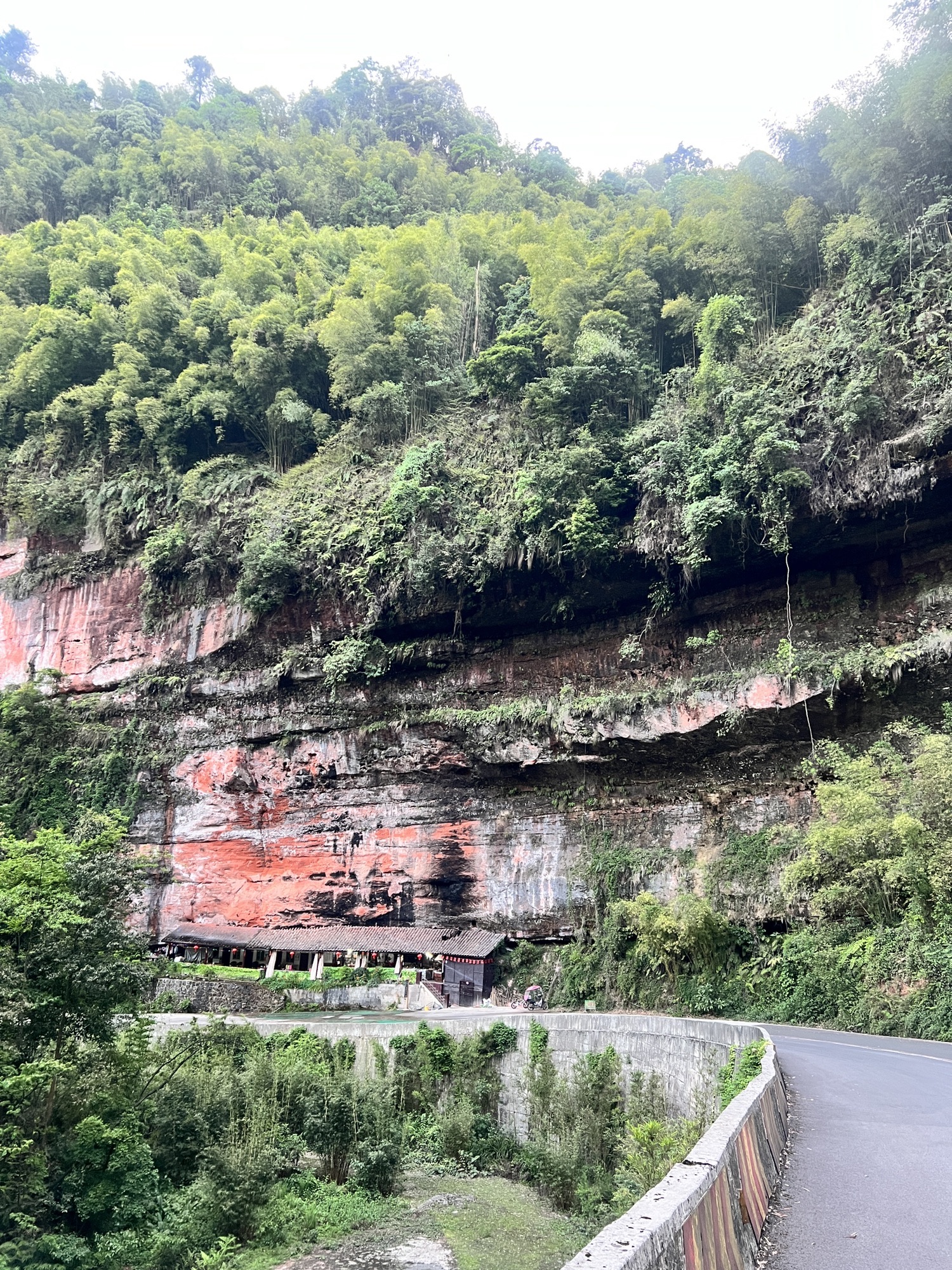 沐川竹海景区旅行图片 2
